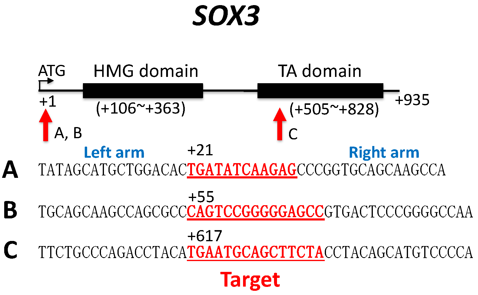 Biomolecules 14 01566 g001