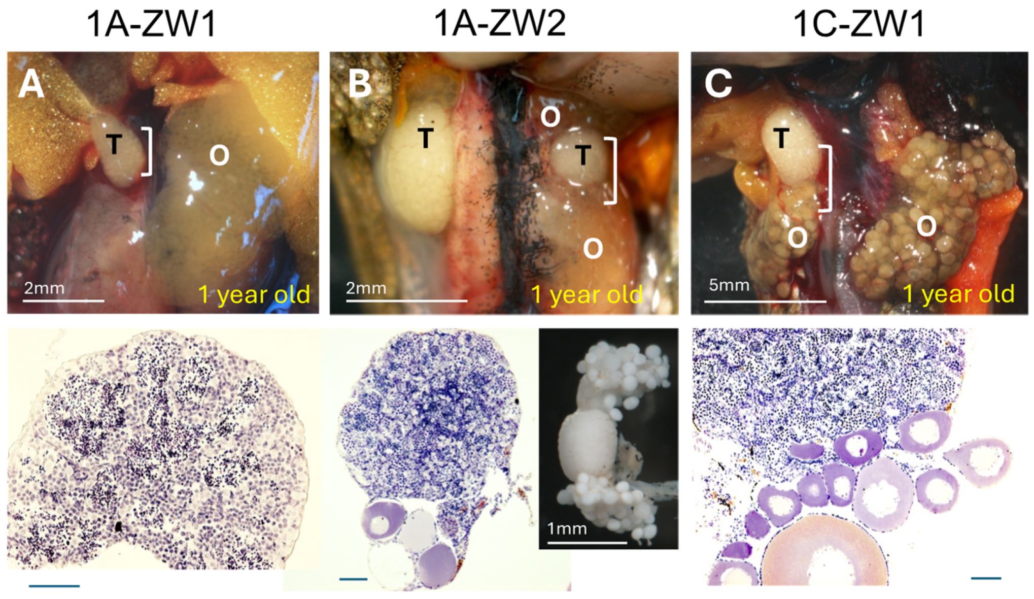 Biomolecules 14 01566 g005