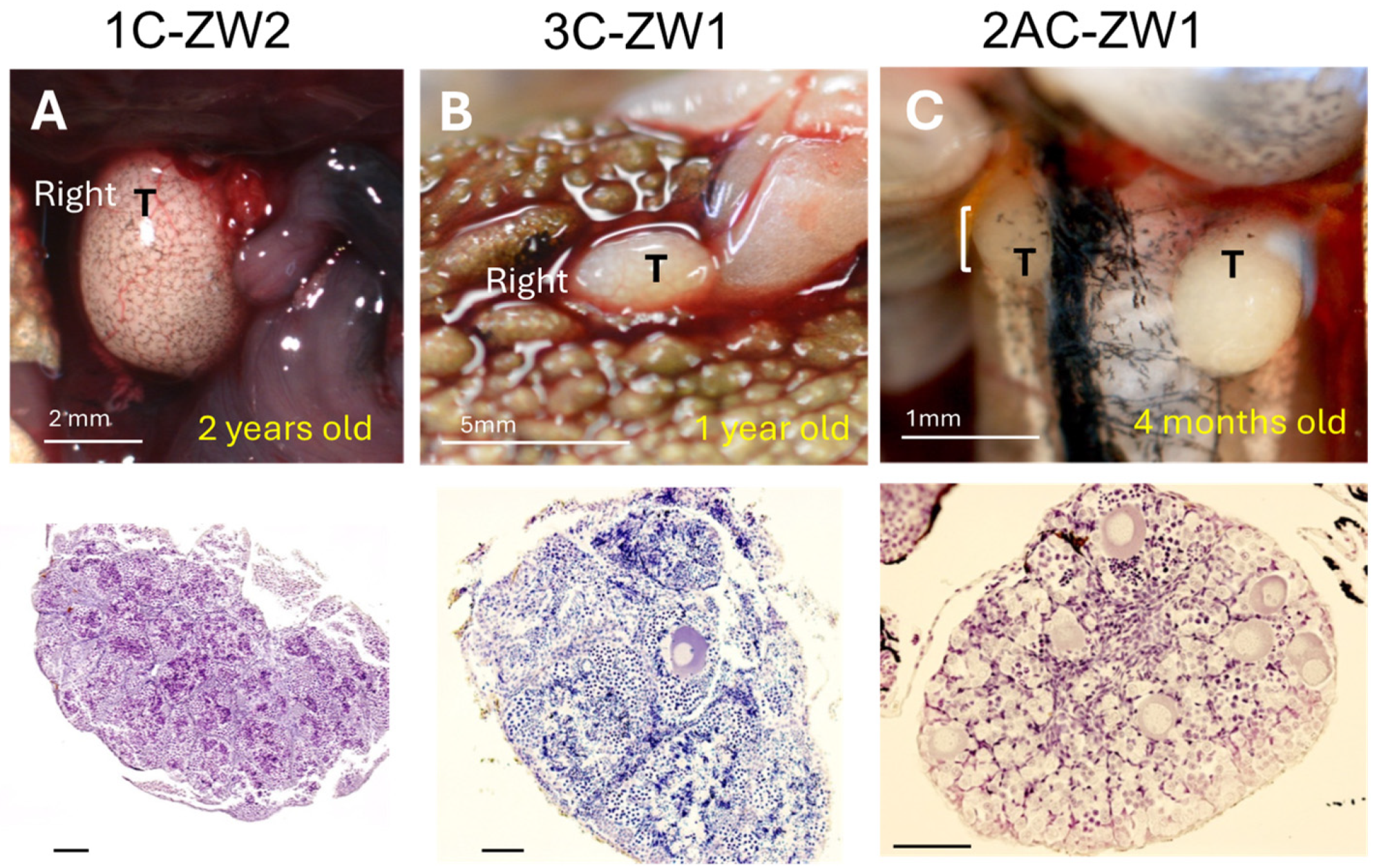Biomolecules 14 01566 g006
