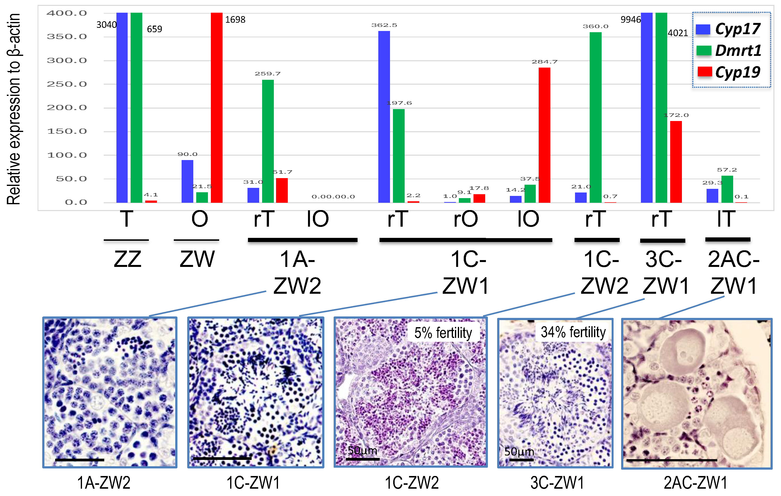 Biomolecules 14 01566 g007