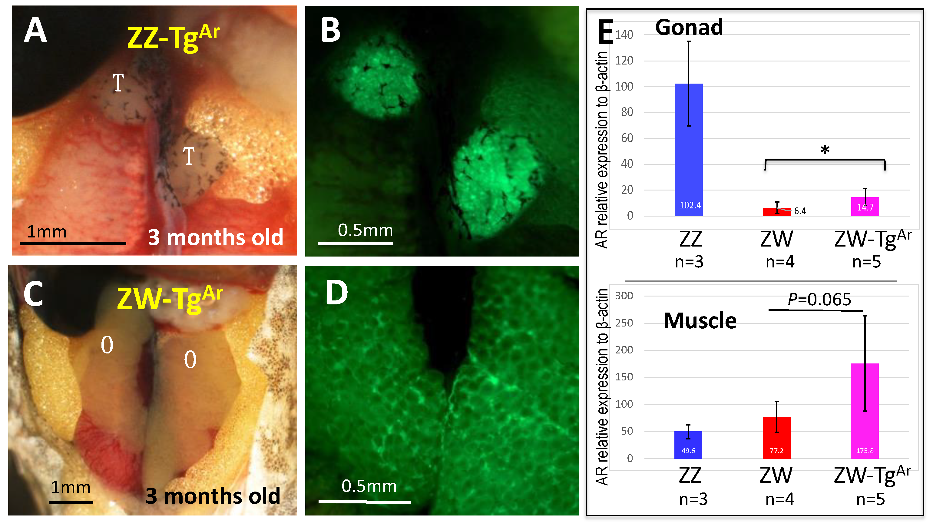 Biomolecules 14 01566 g008
