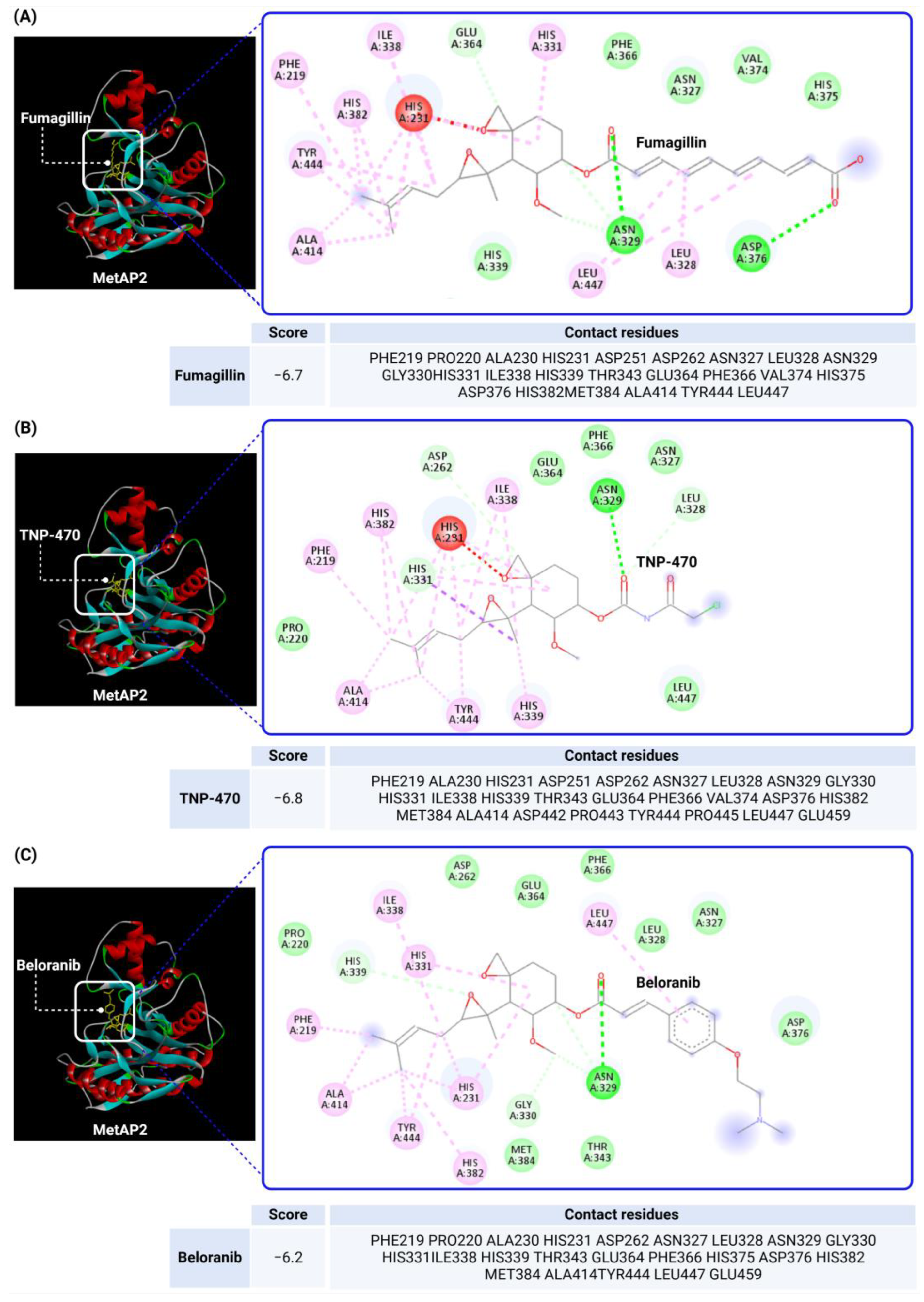 Biomolecules 14 01572 g003