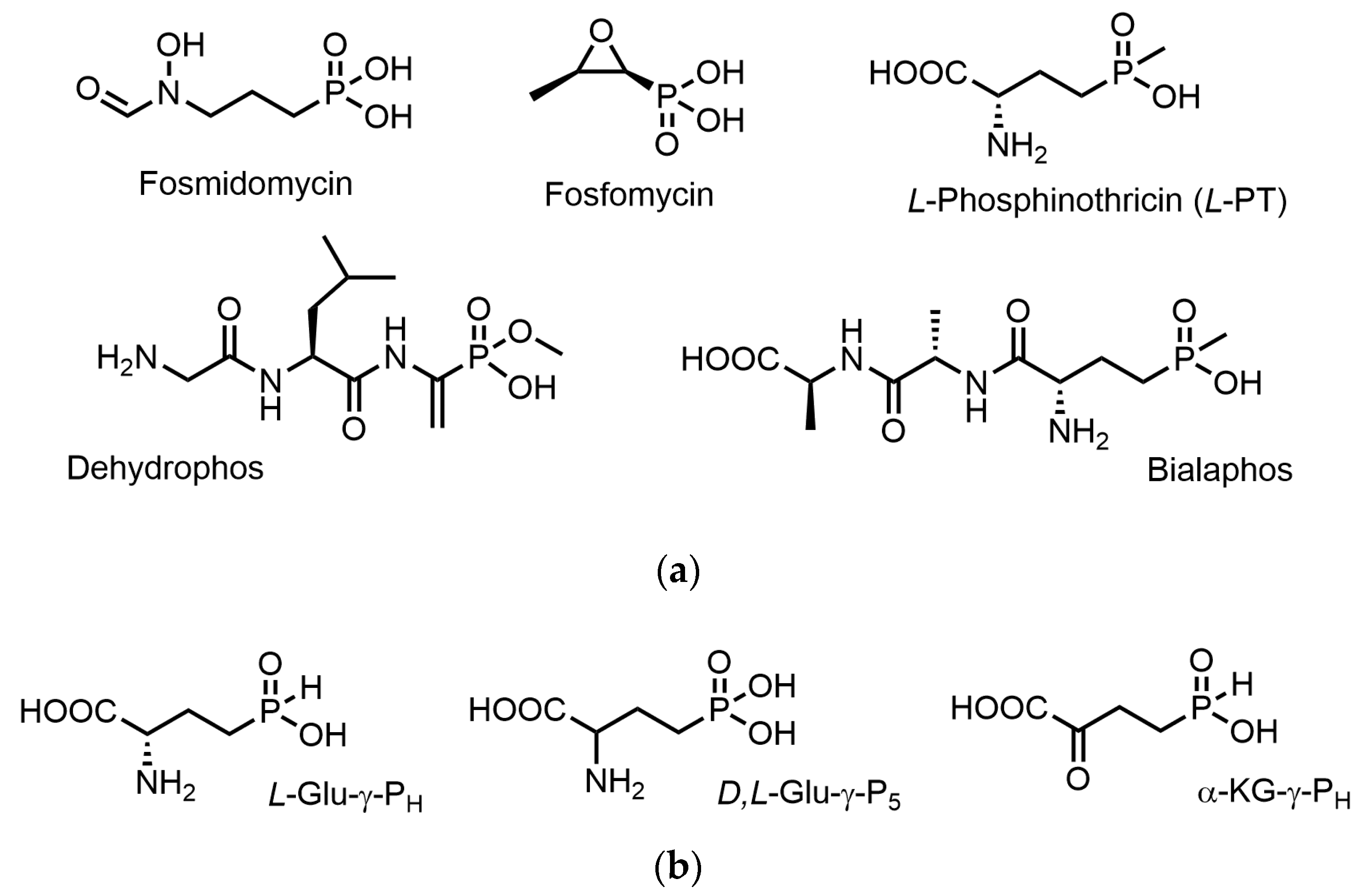 Biomolecules 14 01574 g001