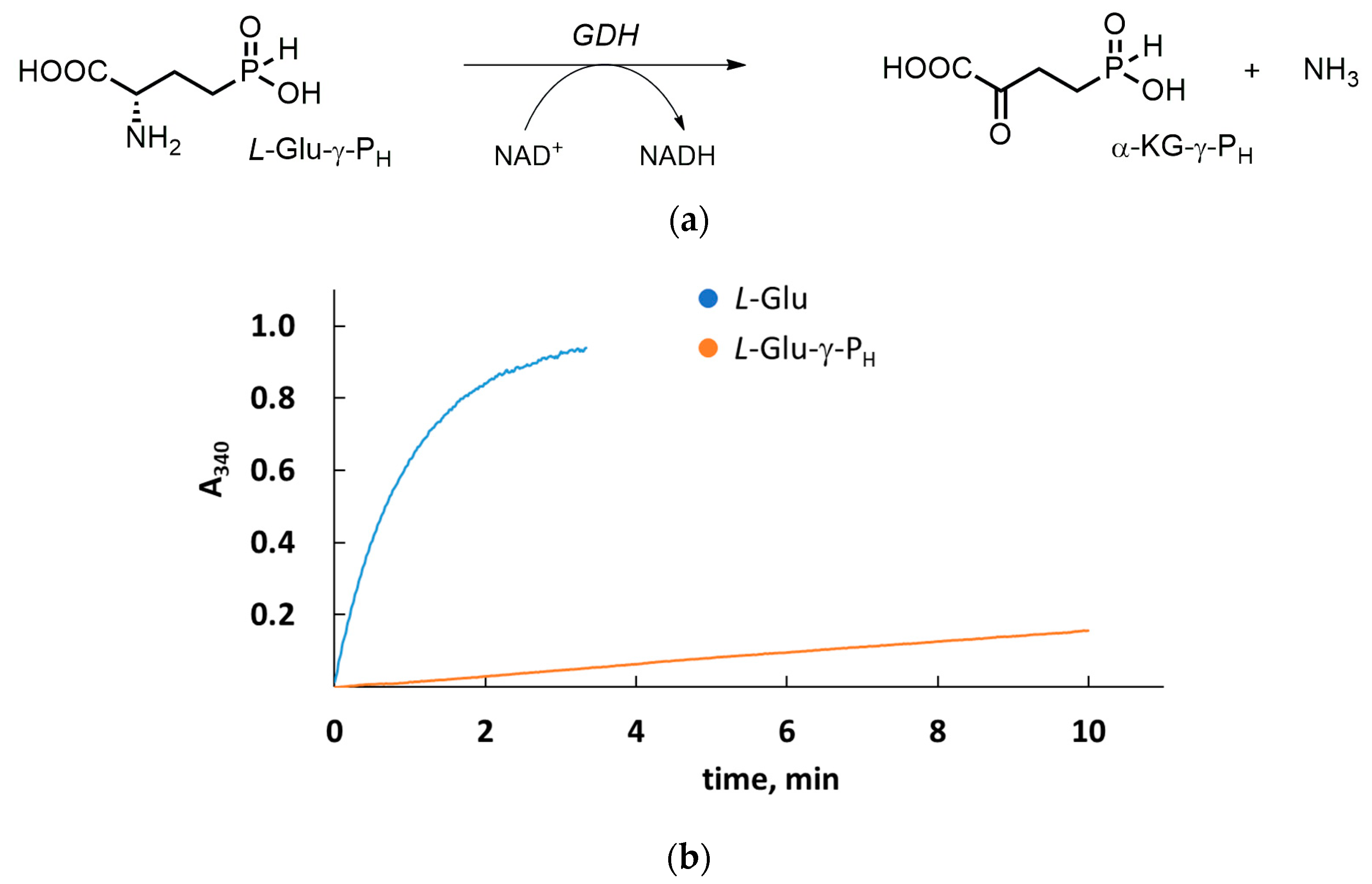 Biomolecules 14 01574 g002