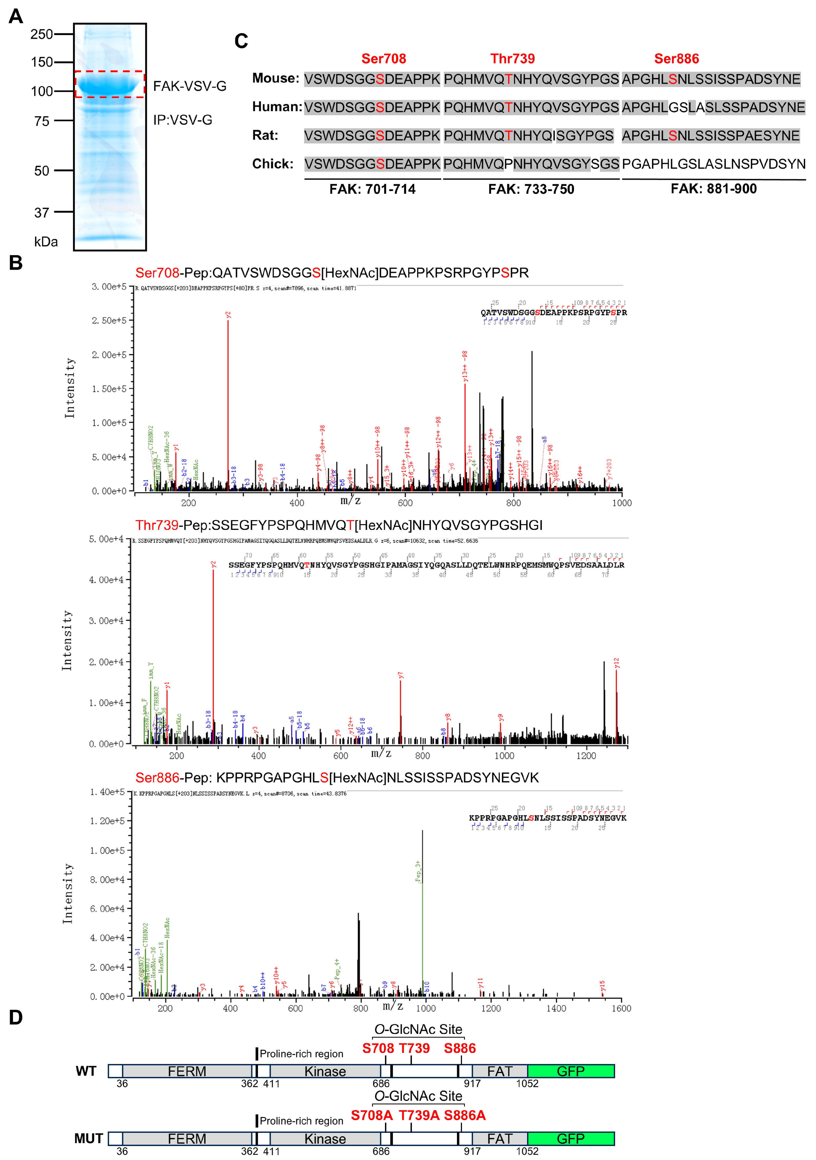 Biomolecules 14 01577 g002