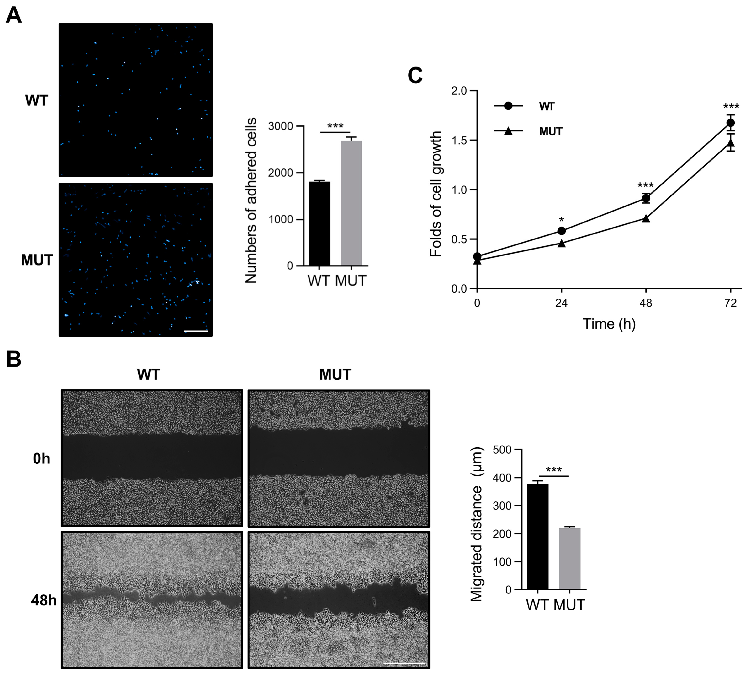 Biomolecules 14 01577 g004