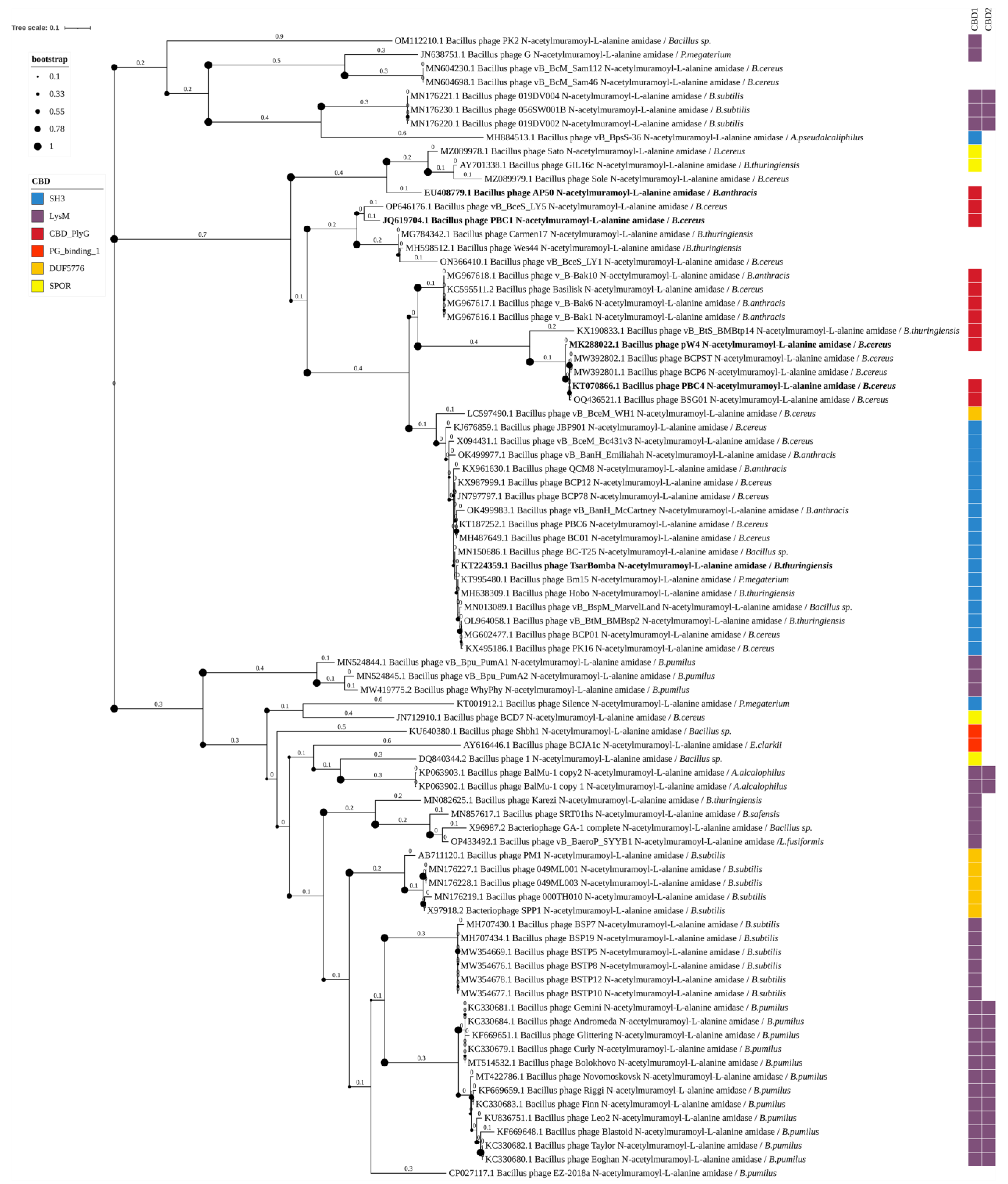 Biomolecules 14 01586 g004