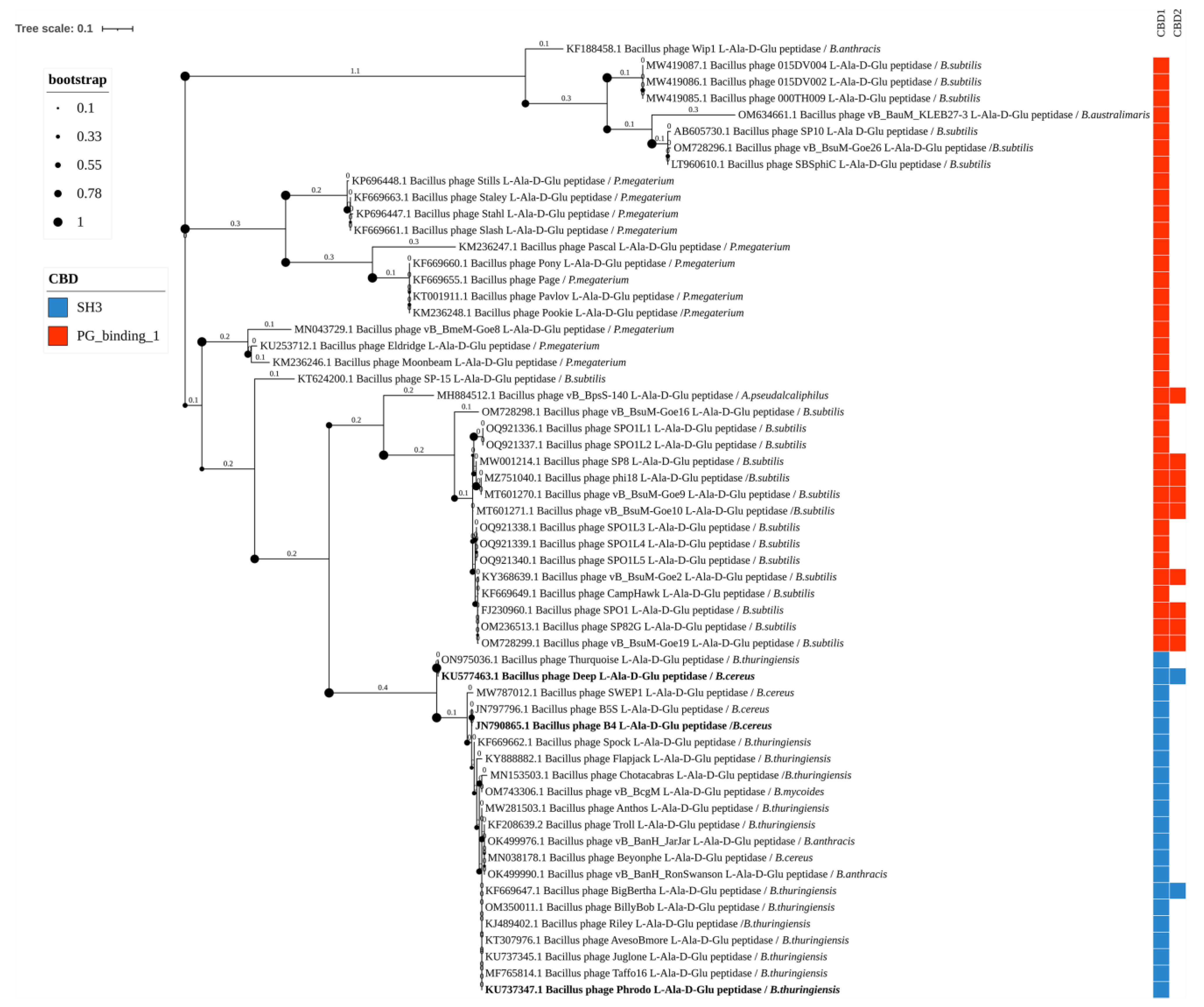 Biomolecules 14 01586 g005