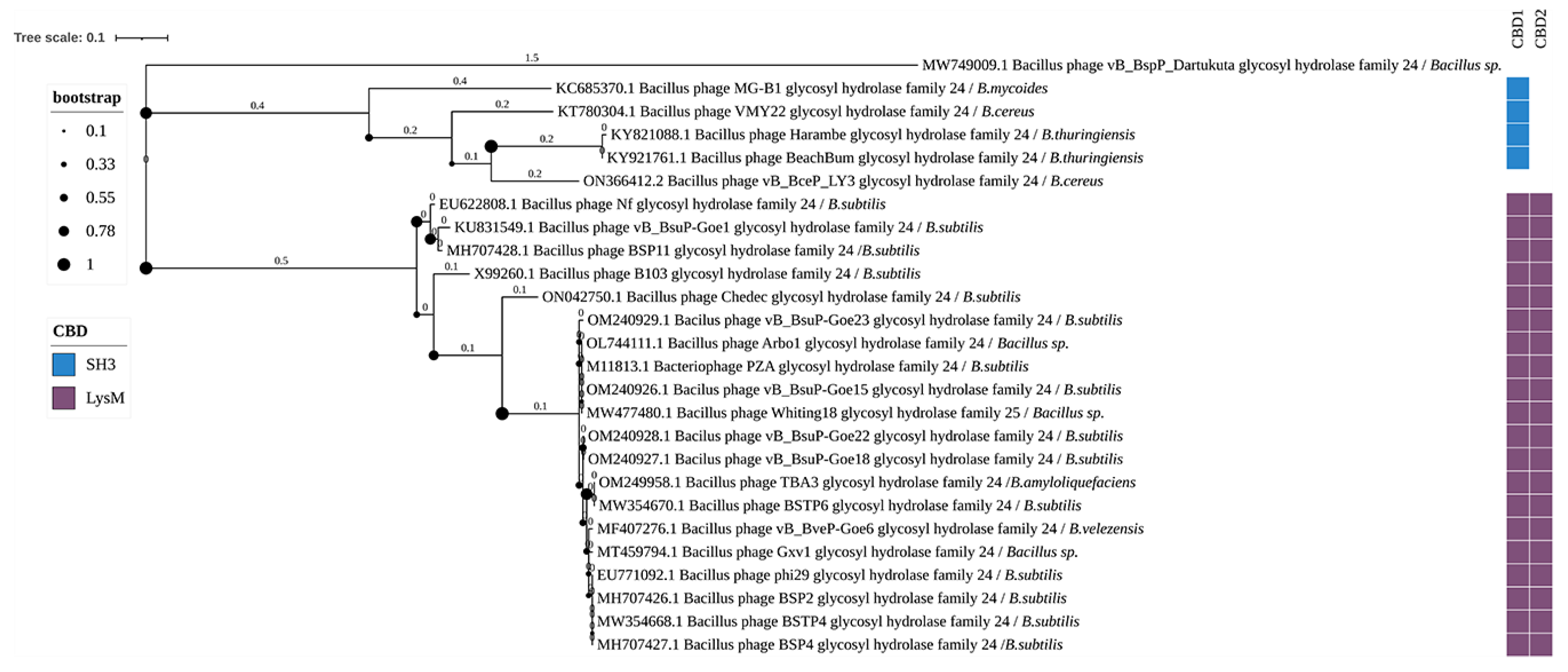 Biomolecules 14 01586 g006