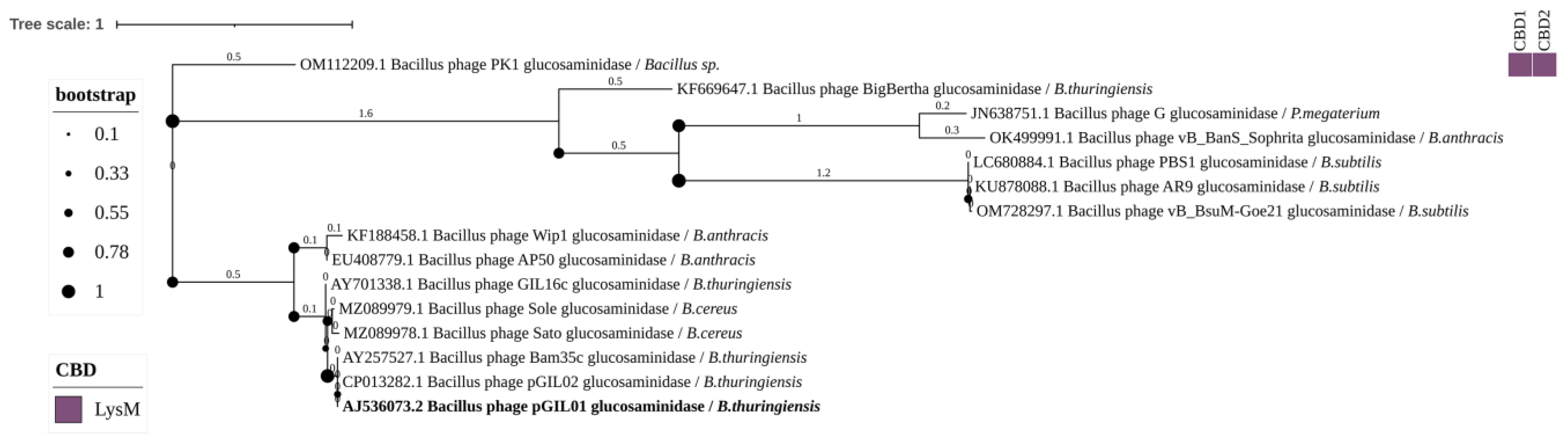 Biomolecules 14 01586 g008