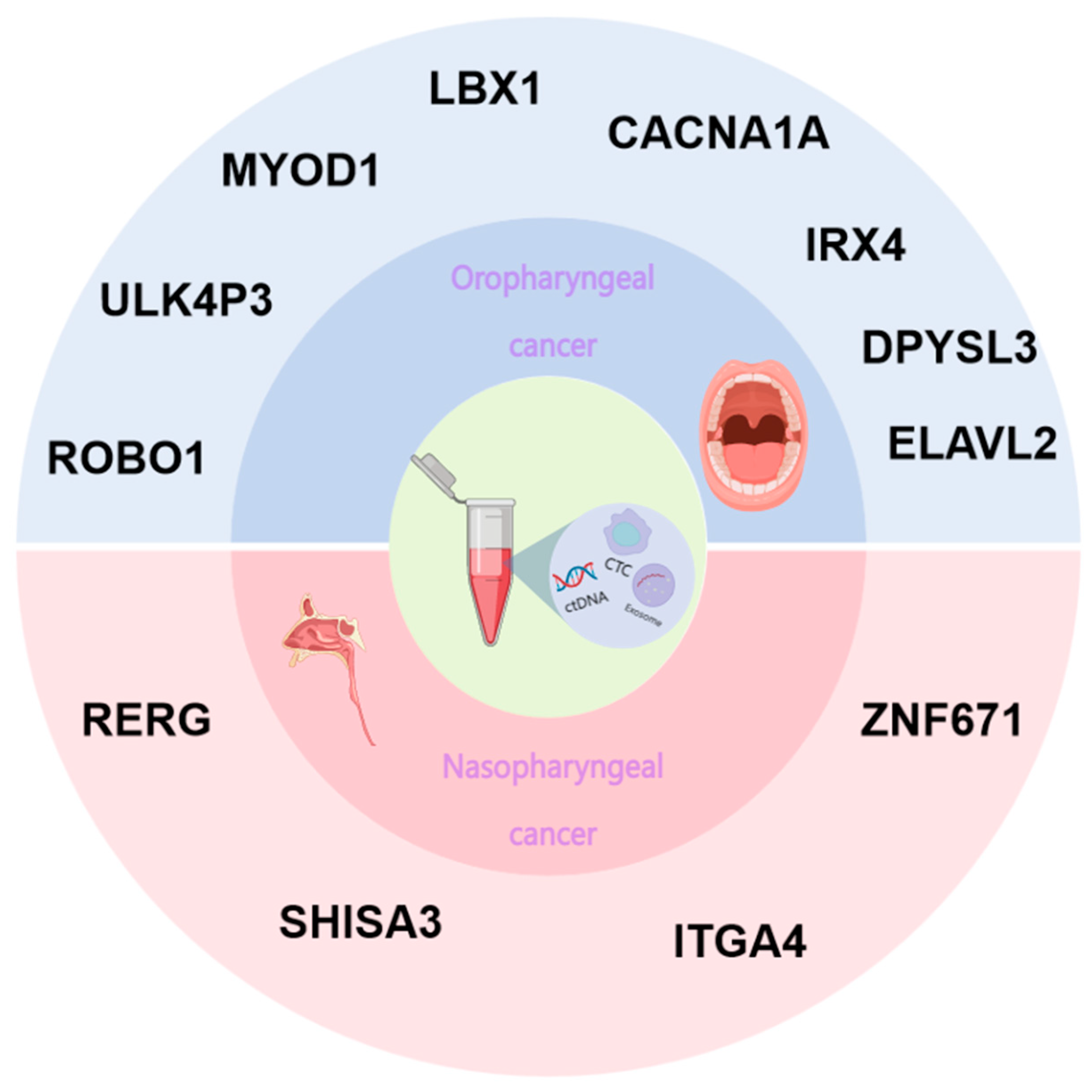 Biomolecules 14 01634 g002