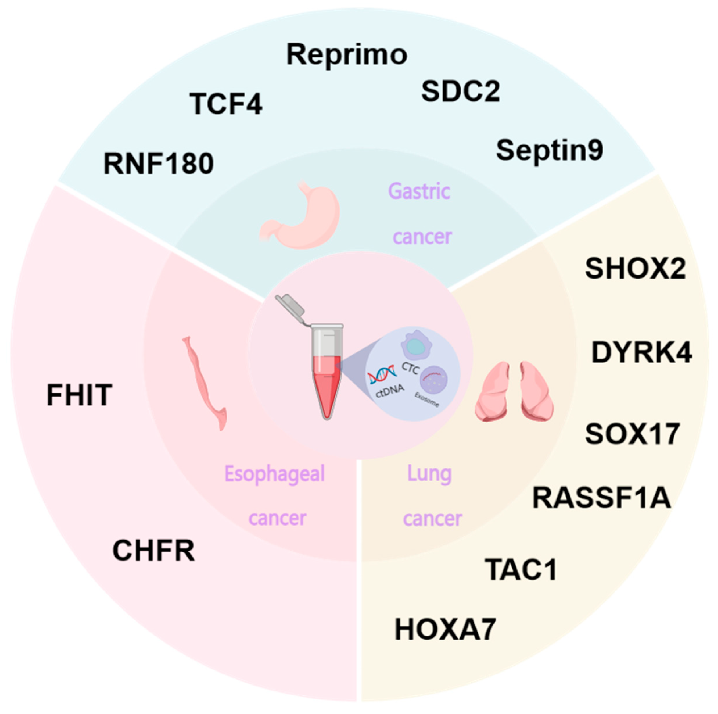 Biomolecules 14 01634 g003