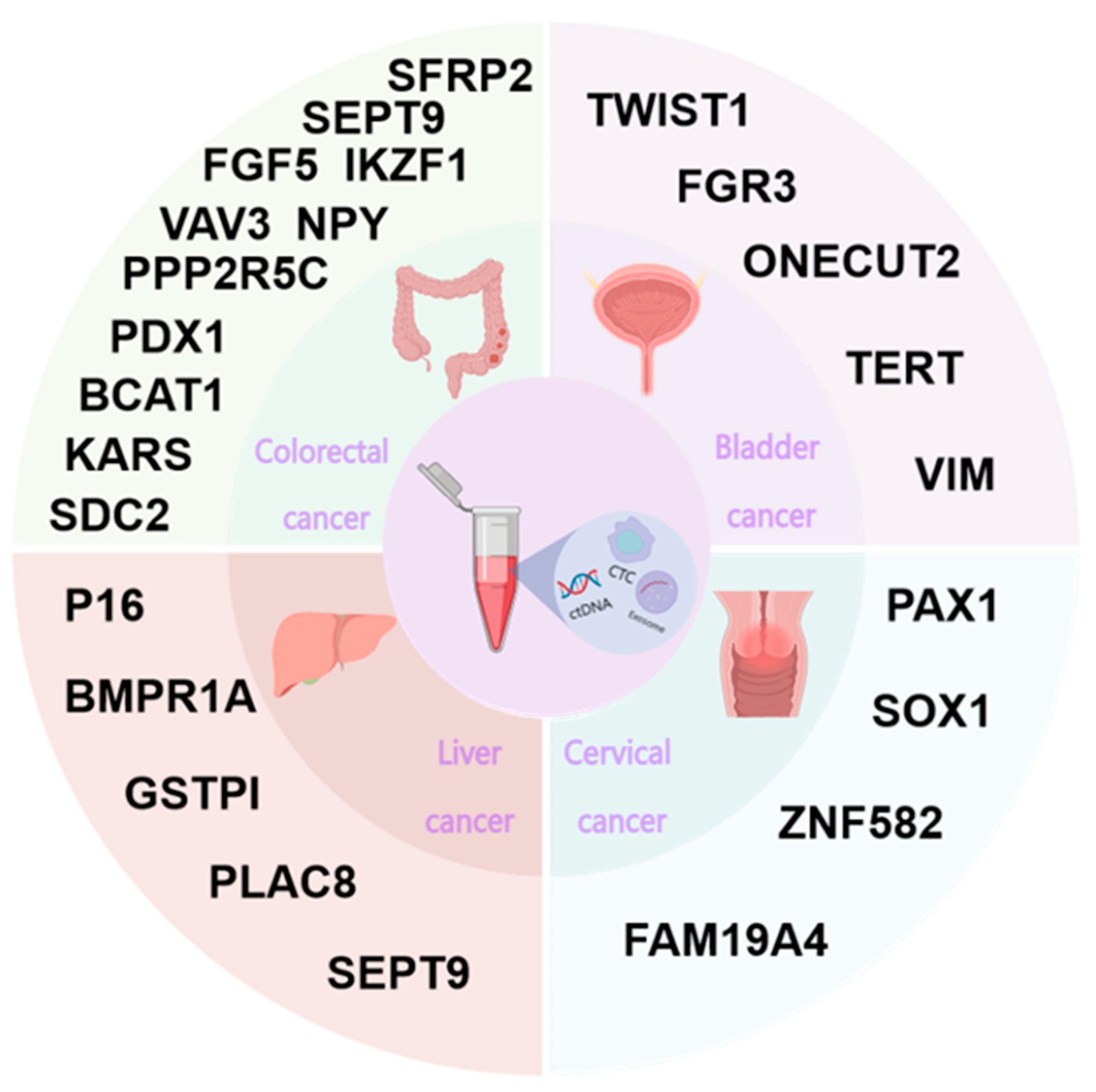 Biomolecules 14 01634 g004