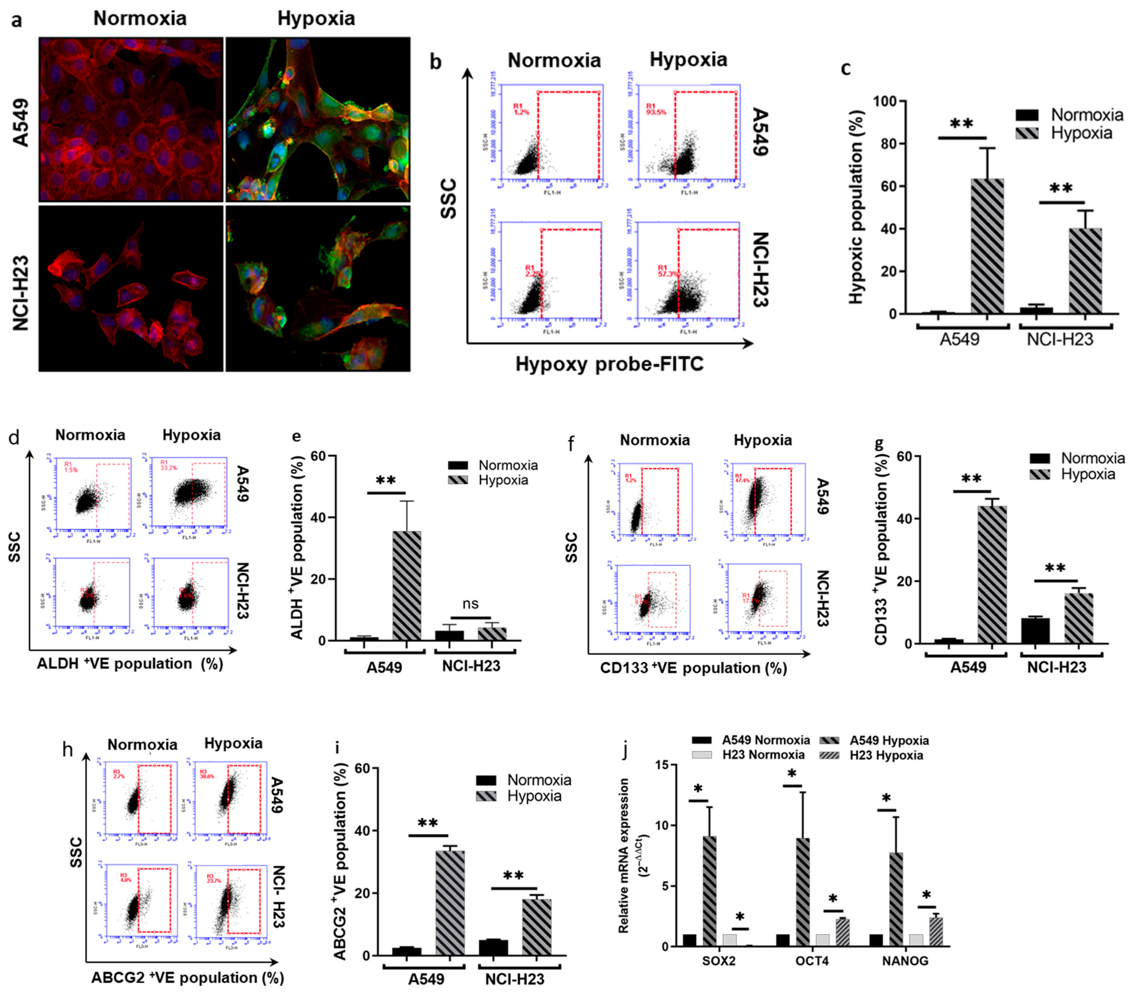 Biomolecules 14 01651 g002a