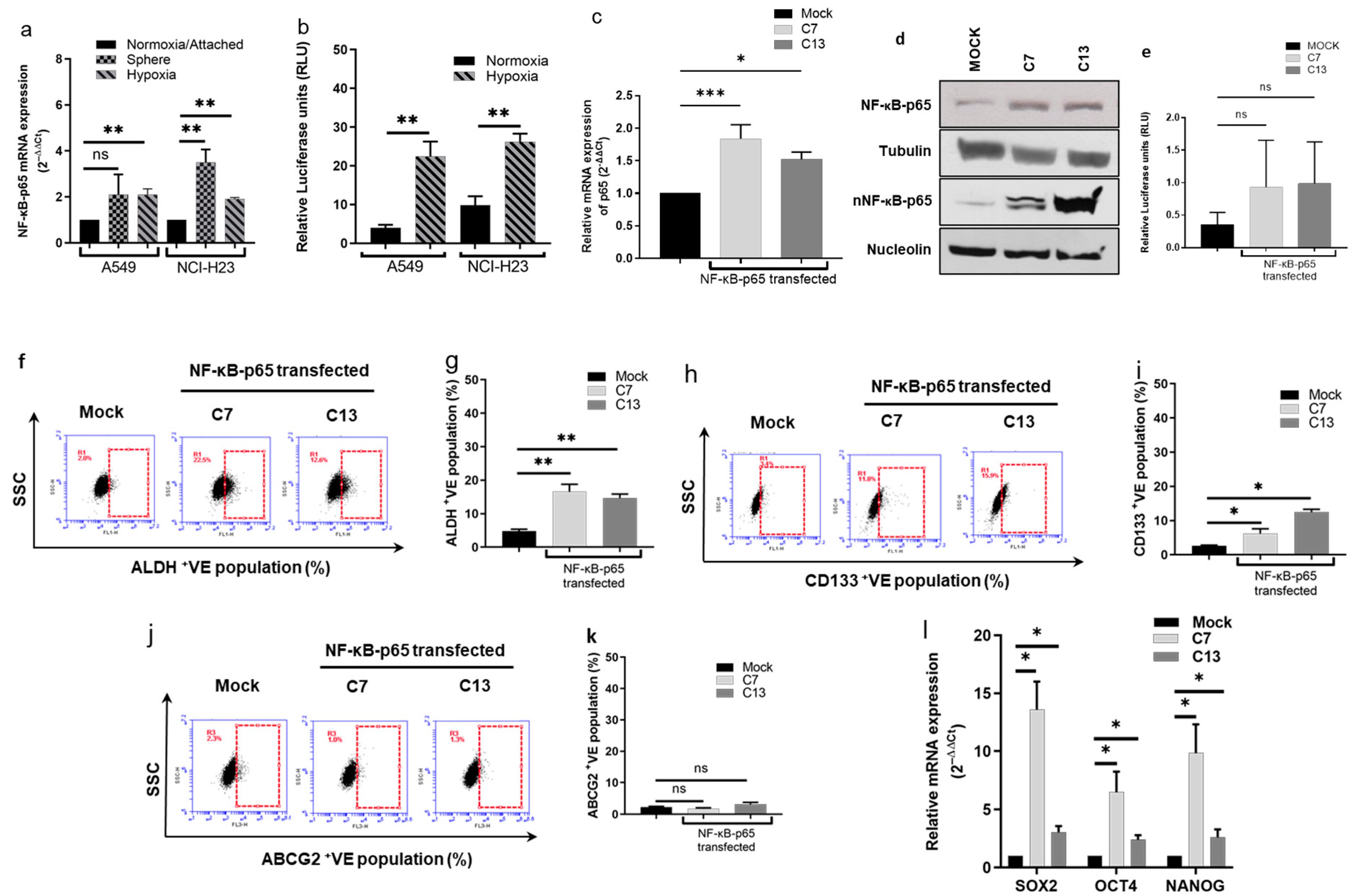 Biomolecules 14 01651 g003a