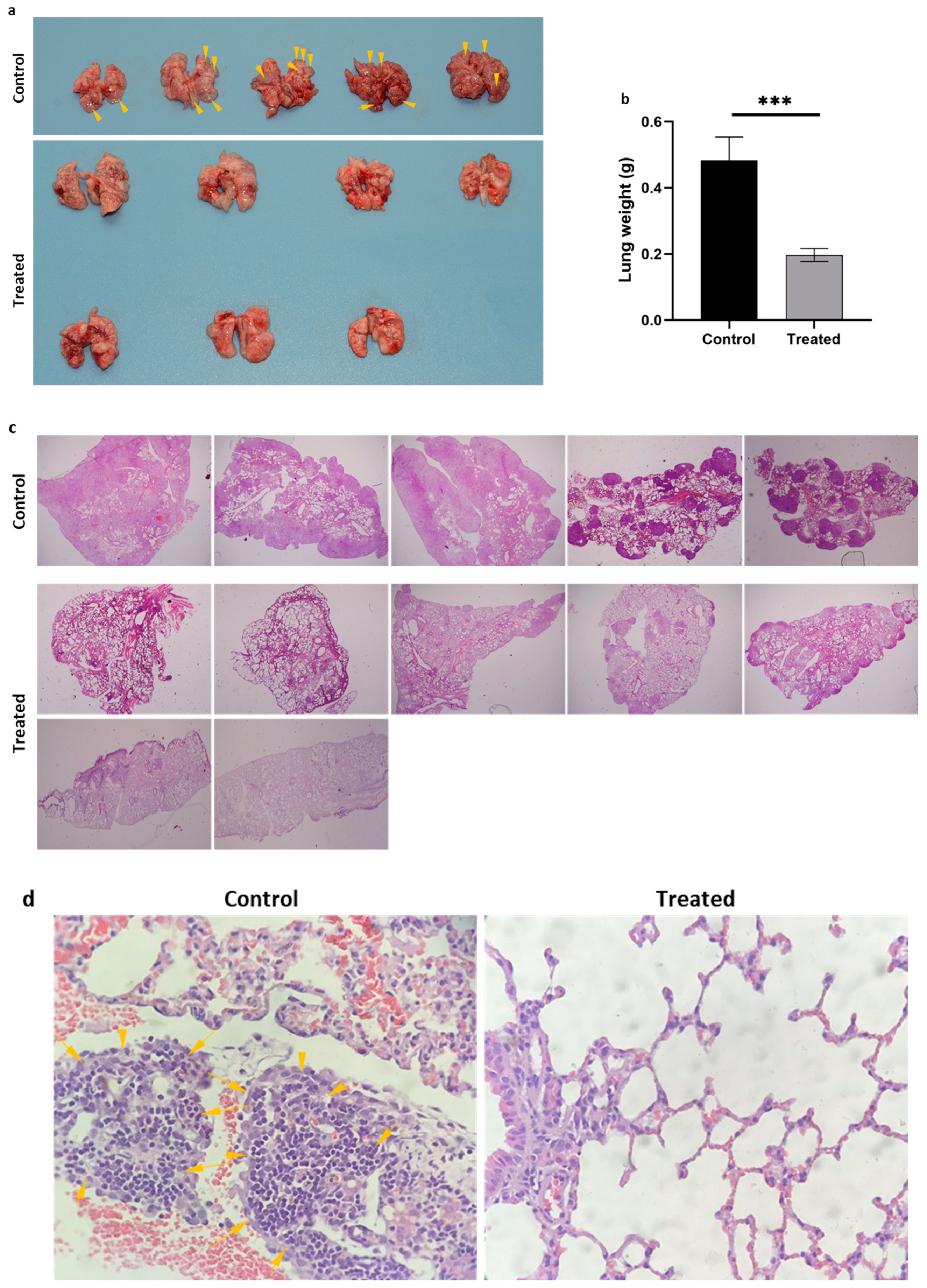 Biomolecules 14 01651 g005