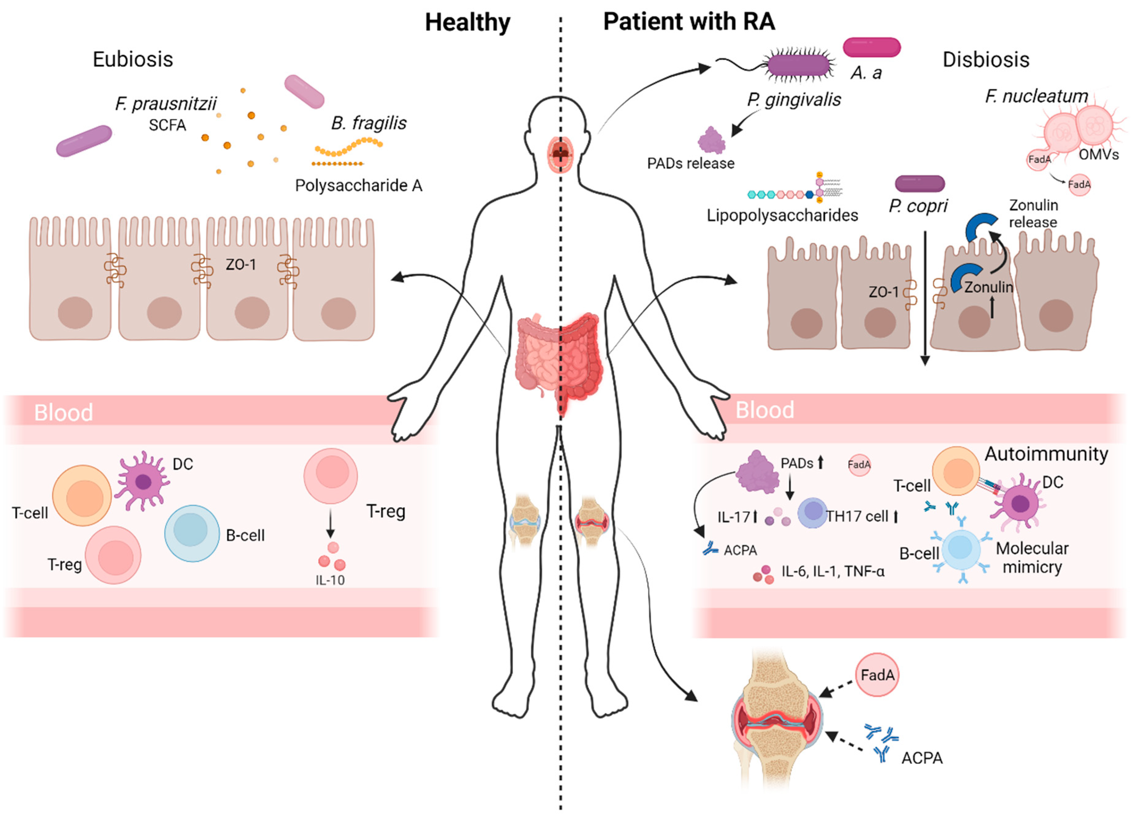 Biomolecules 14 01653 g001