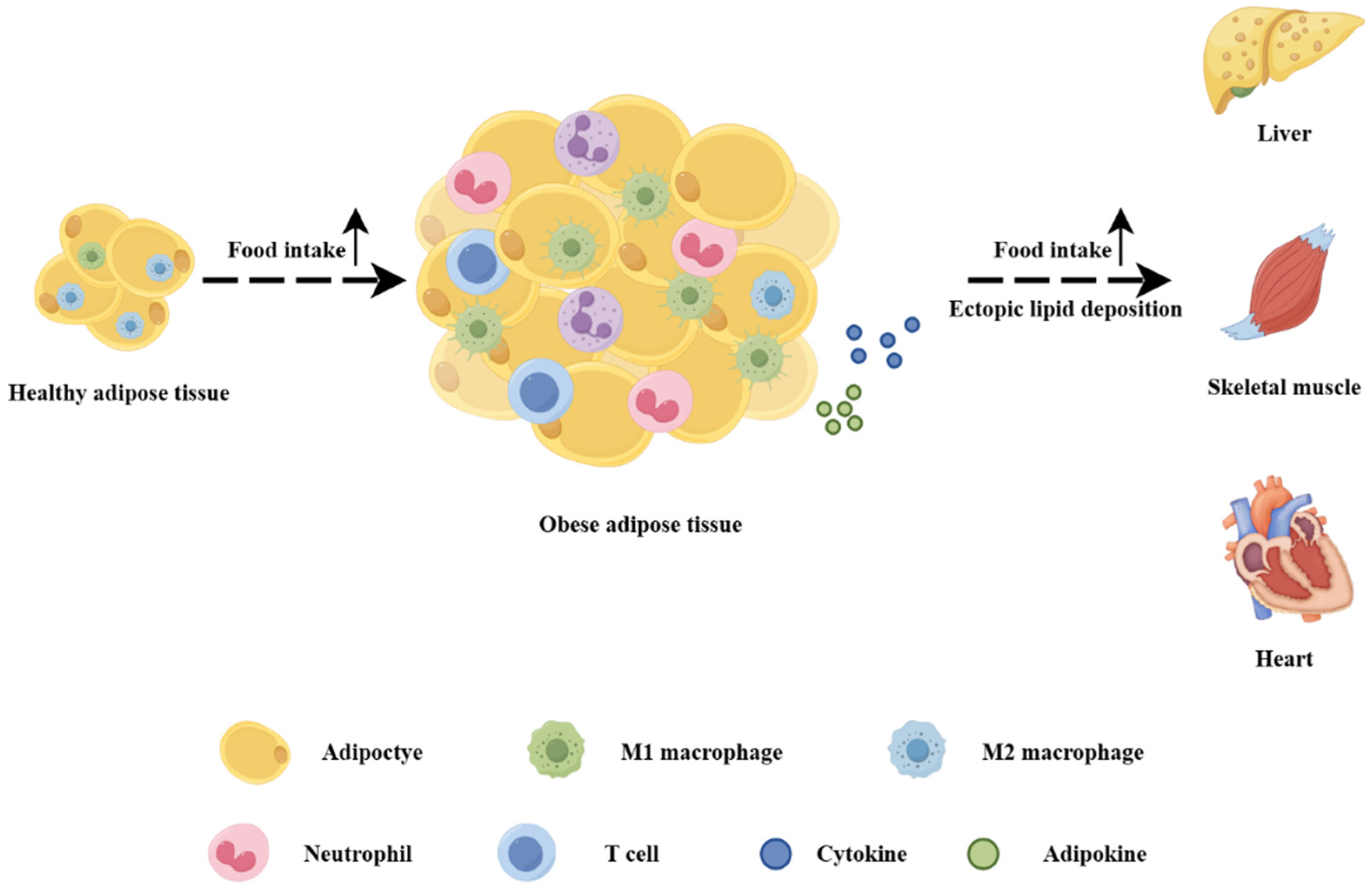Biomolecules 15 00020 g002