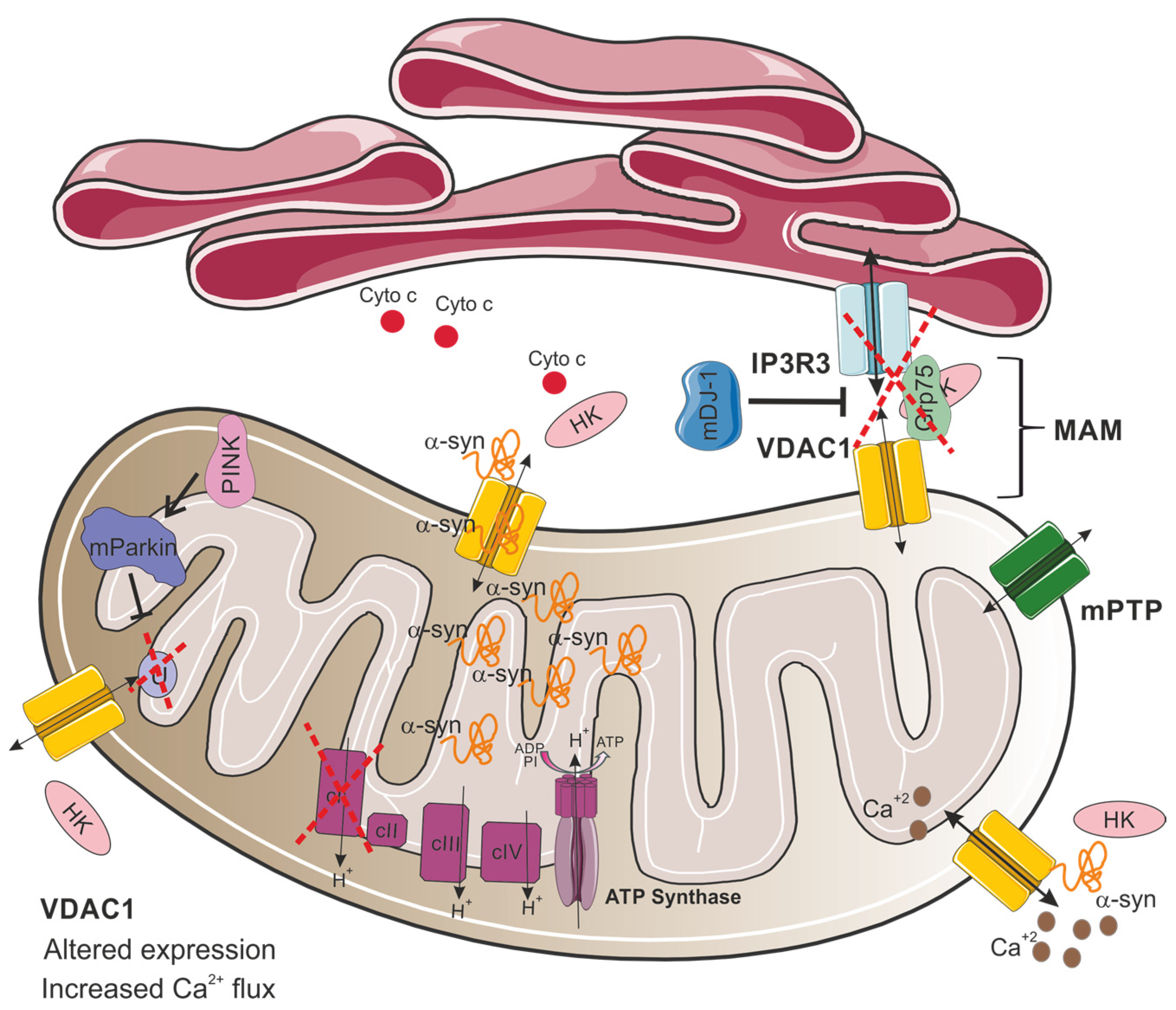 Biomolecules 15 00033 g003