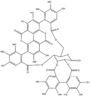 Biomolecules 15 00035 i020 Biomolecules 15 00035 i020