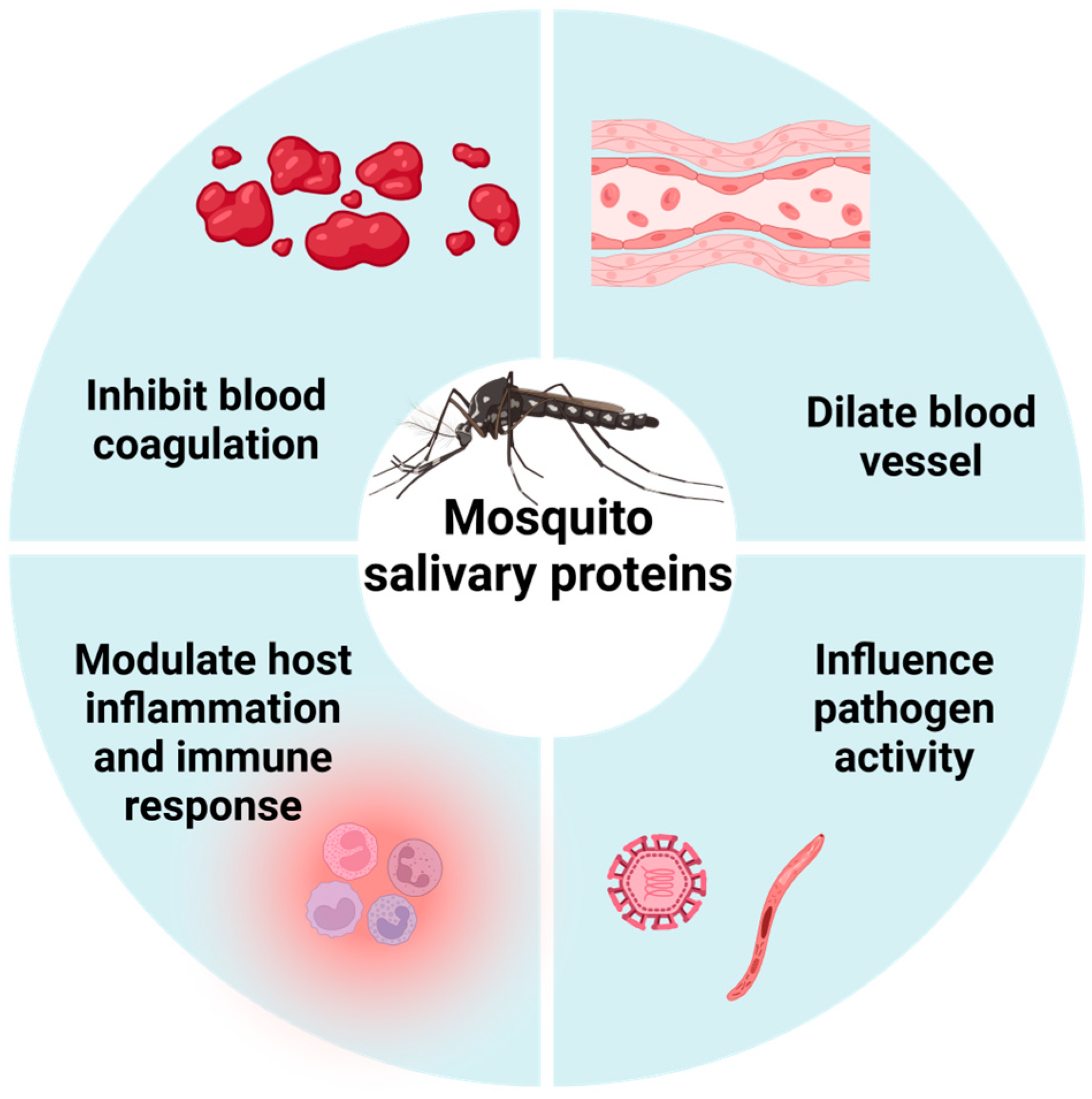 Biomolecules 15 00082 g001 Biomolecules 15 00082 g001
