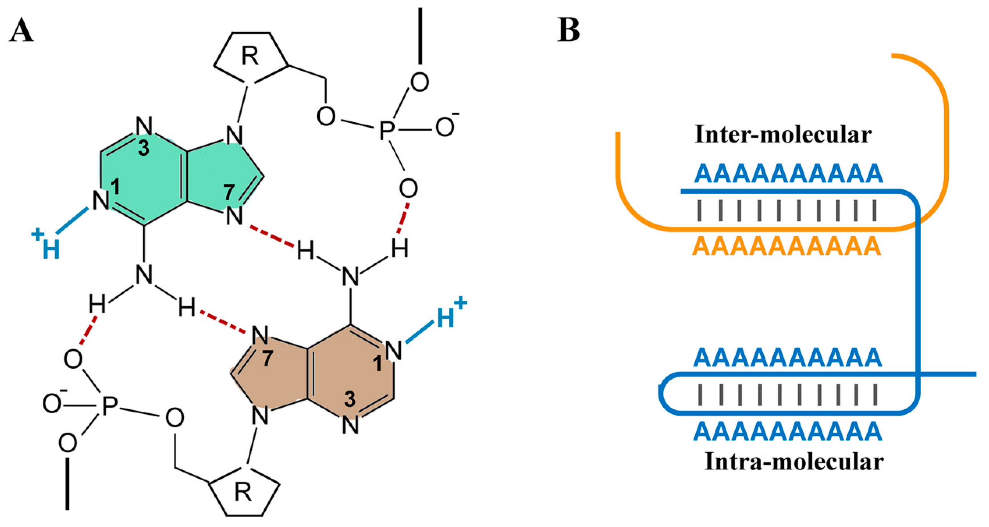 Biomolecules 15 00087 g003