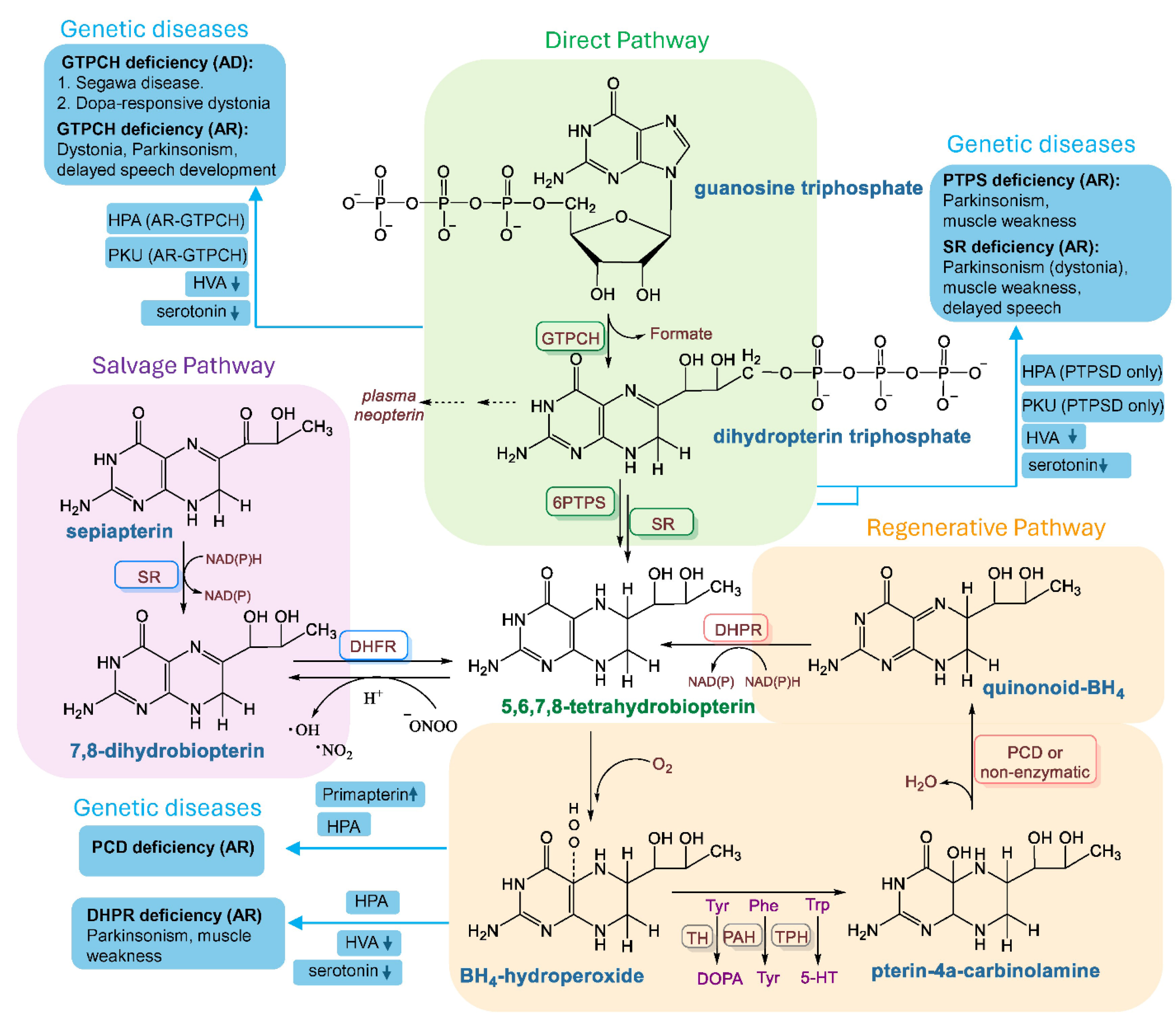 Biomolecules 15 00102 g001