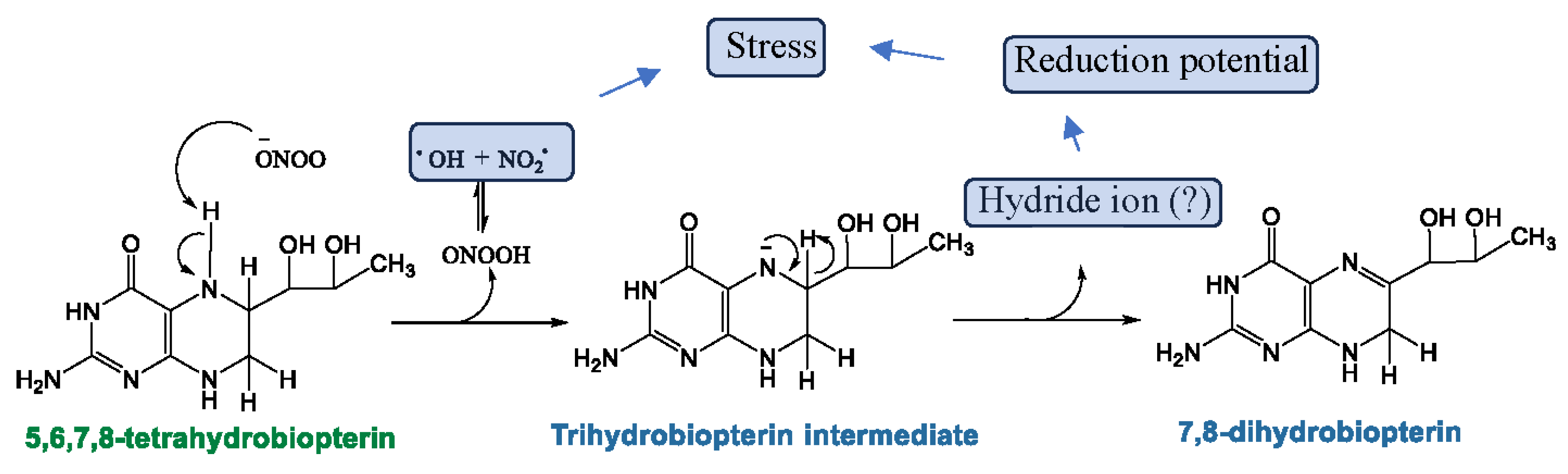 Biomolecules 15 00102 g006