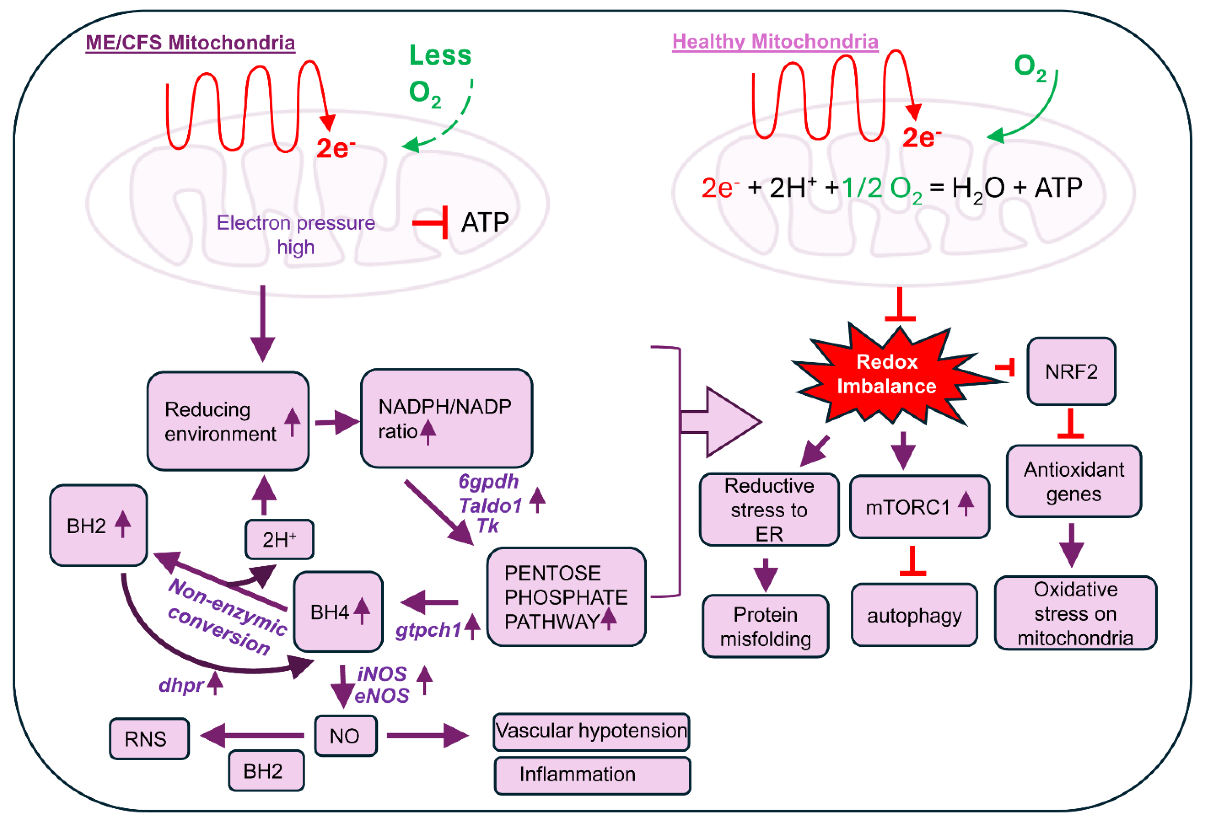 Biomolecules 15 00102 g007
