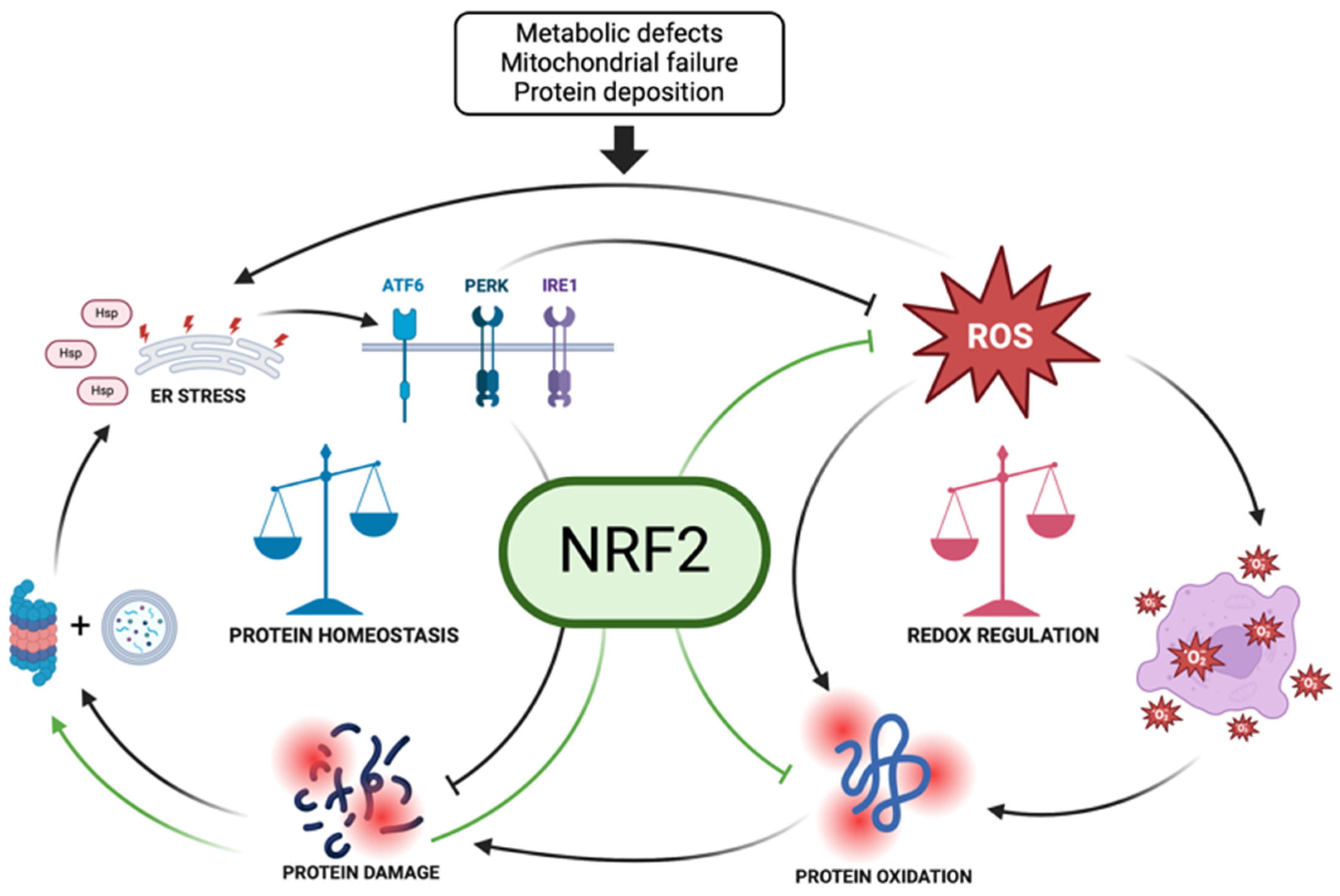 Biomolecules 15 00113 g002