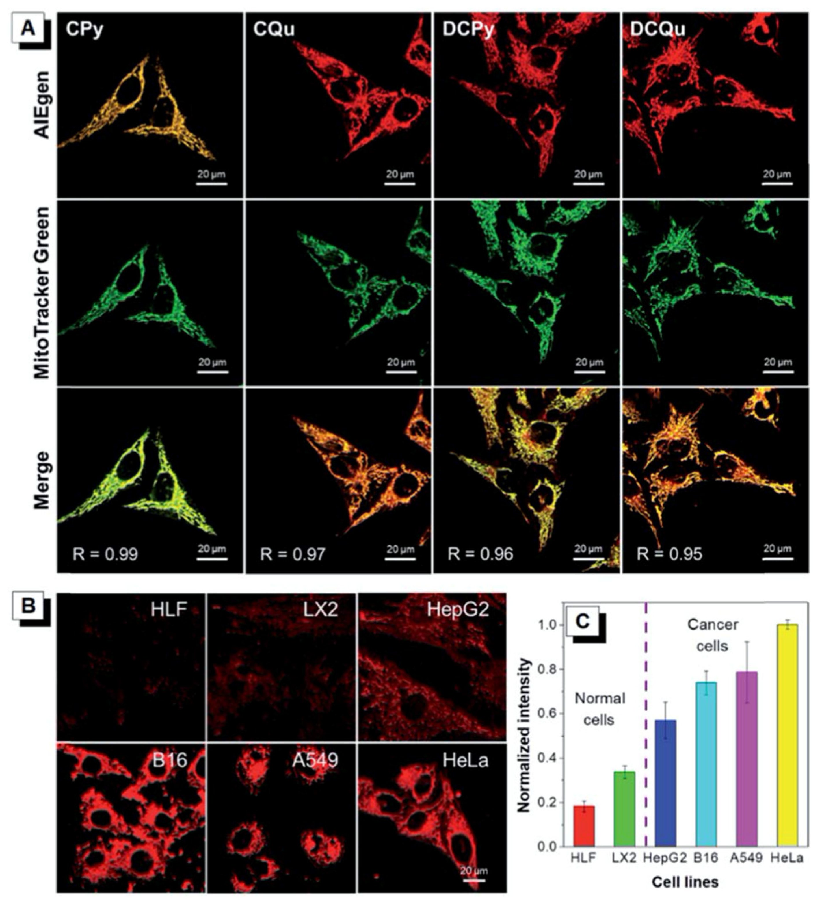 Biomolecules 15 00119 g010
