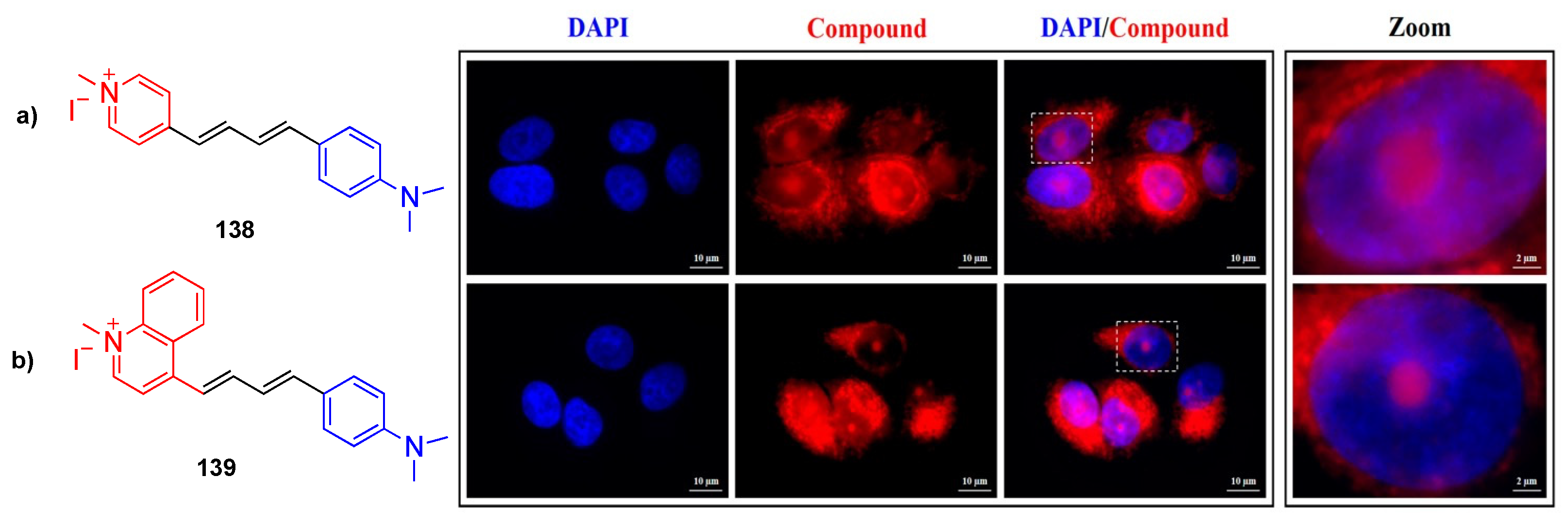 Biomolecules 15 00119 g012