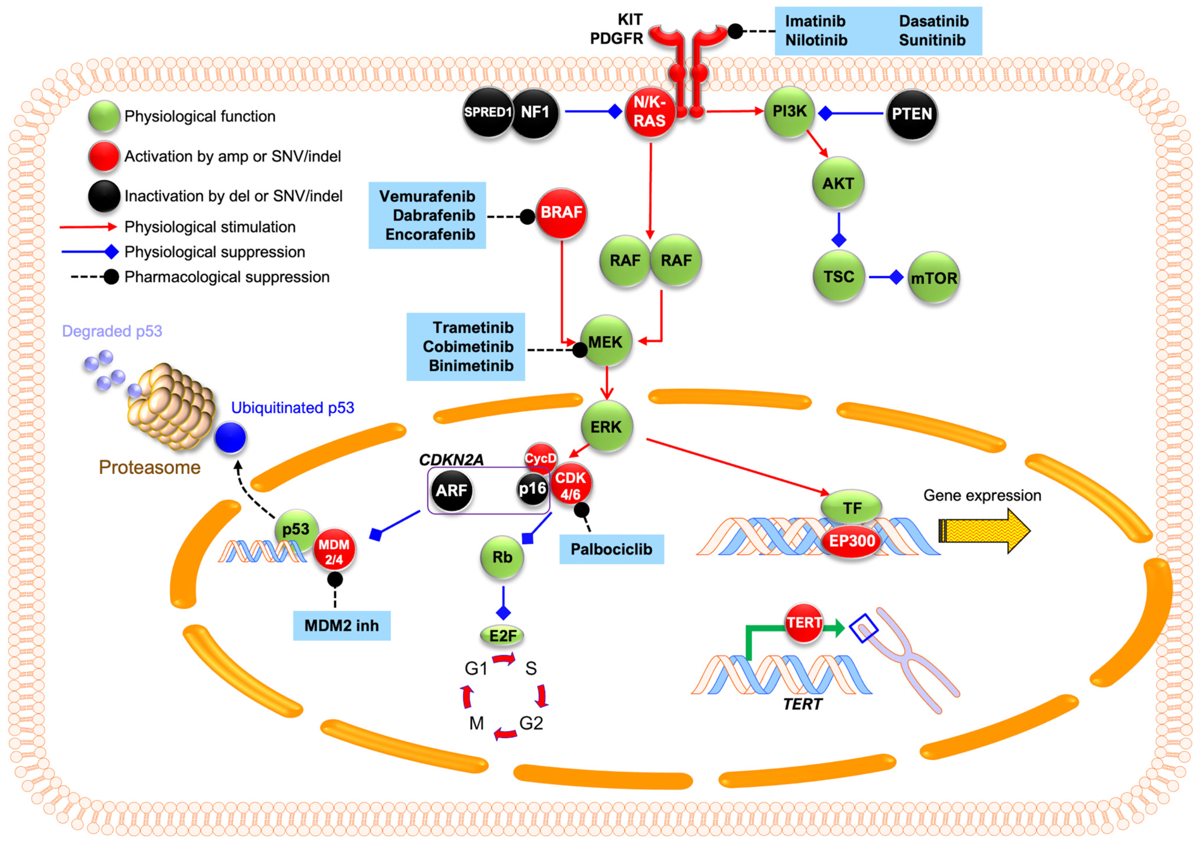 Biomolecules 15 00120 g004