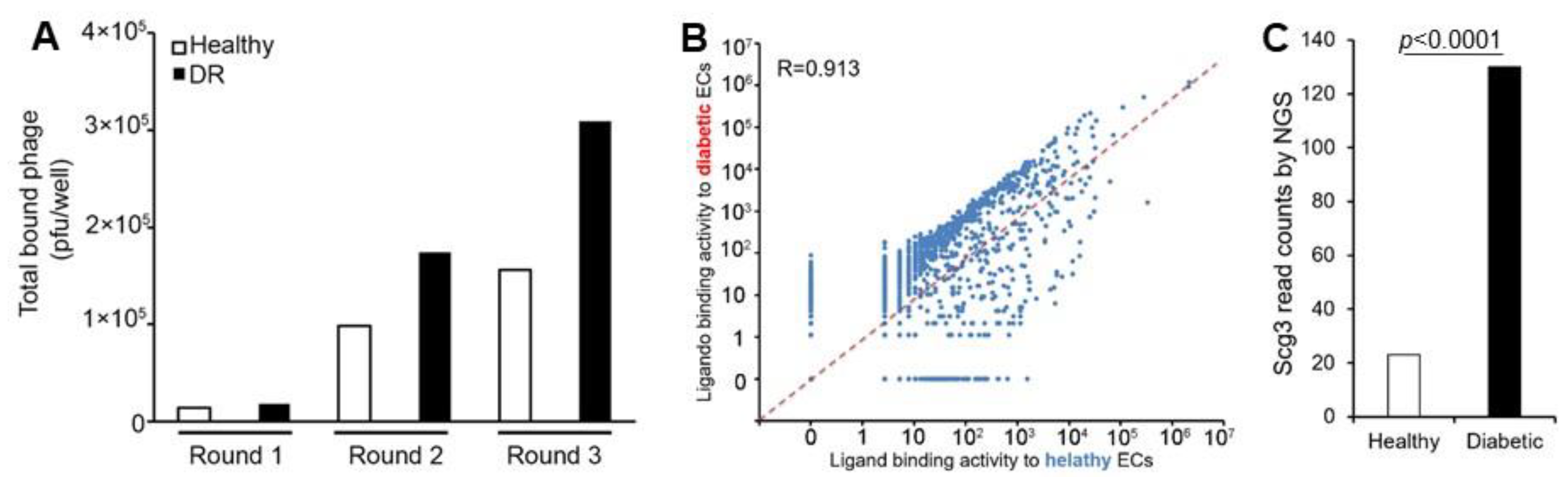 Biomolecules 15 00145 g004