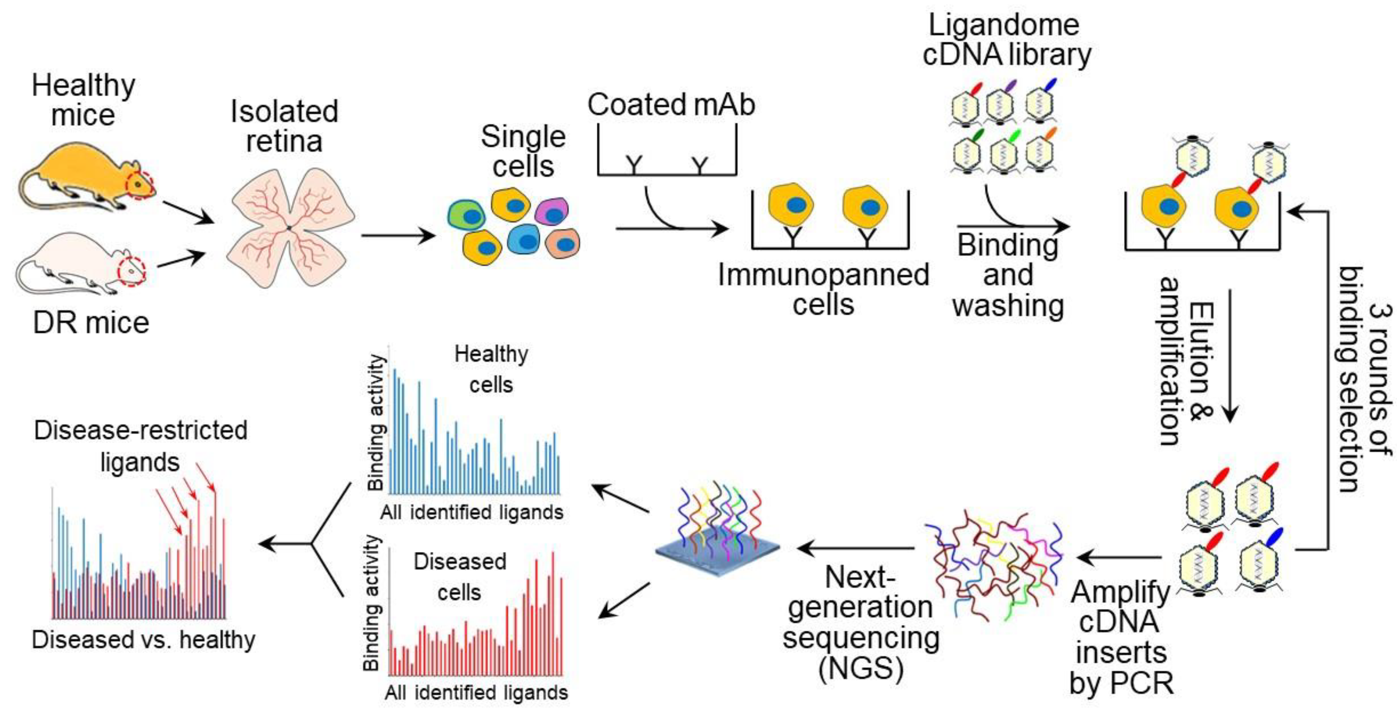 Biomolecules 15 00145 g006