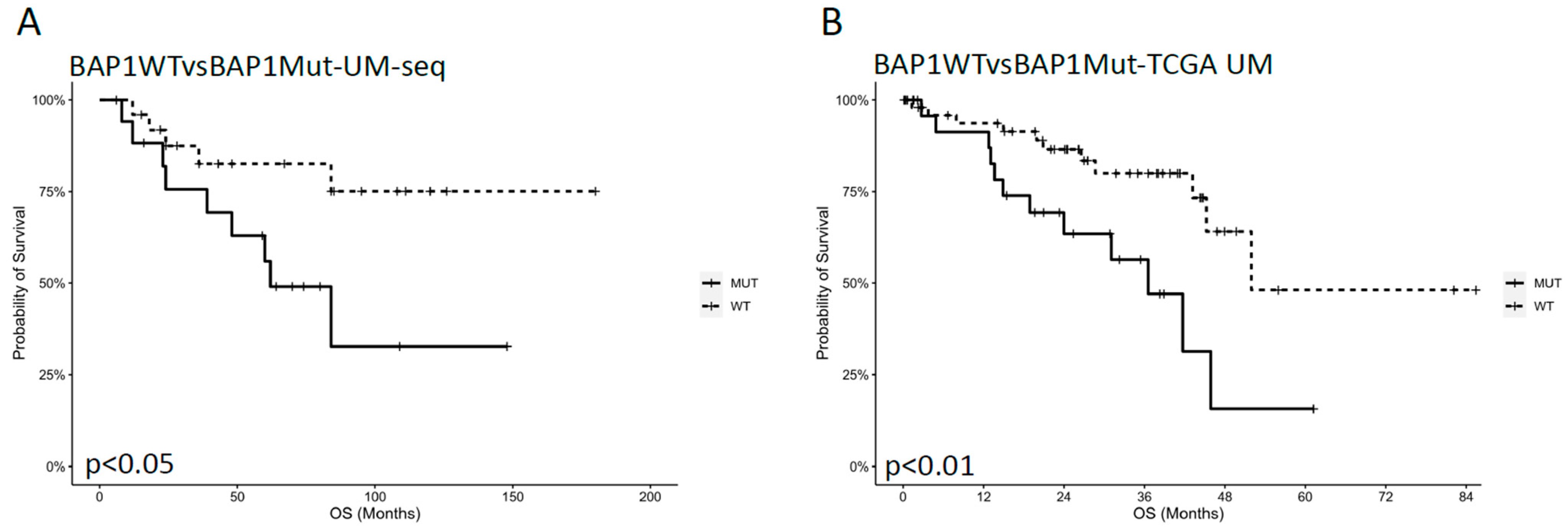 Biomolecules 15 00146 g005