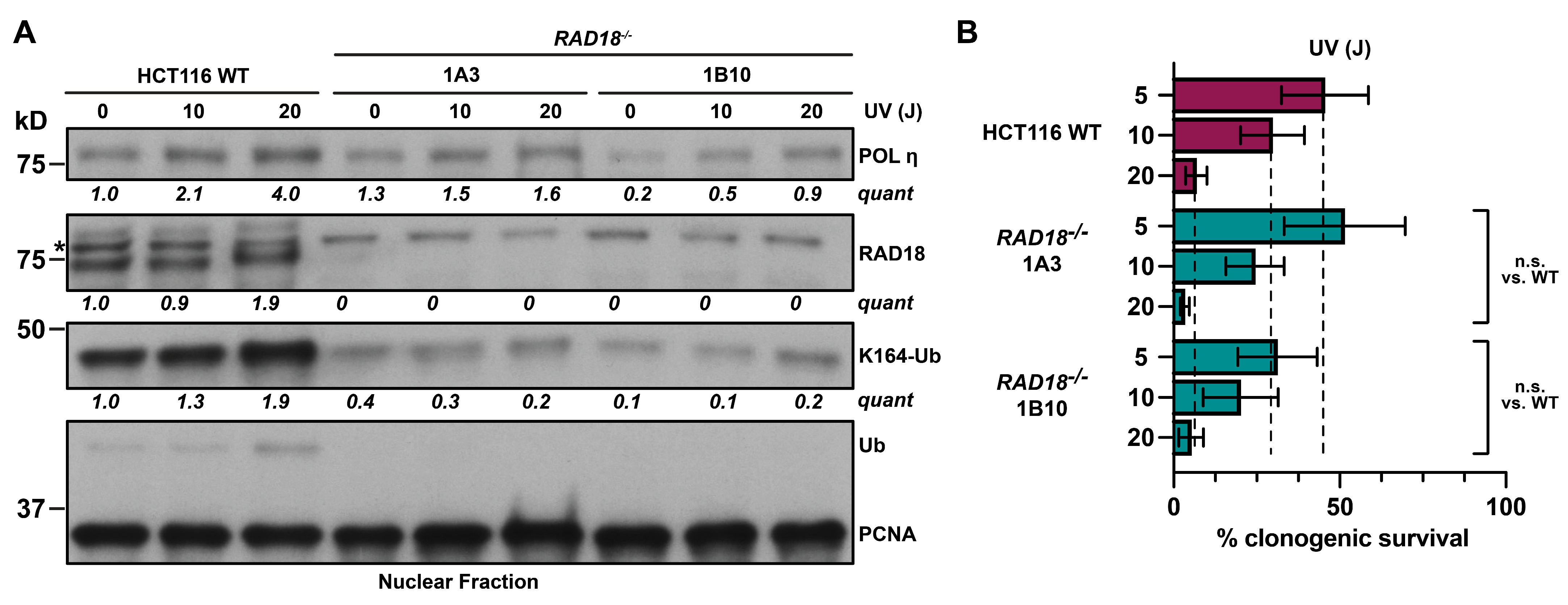 Biomolecules 15 00150 g003 Biomolecules 15 00150 g003