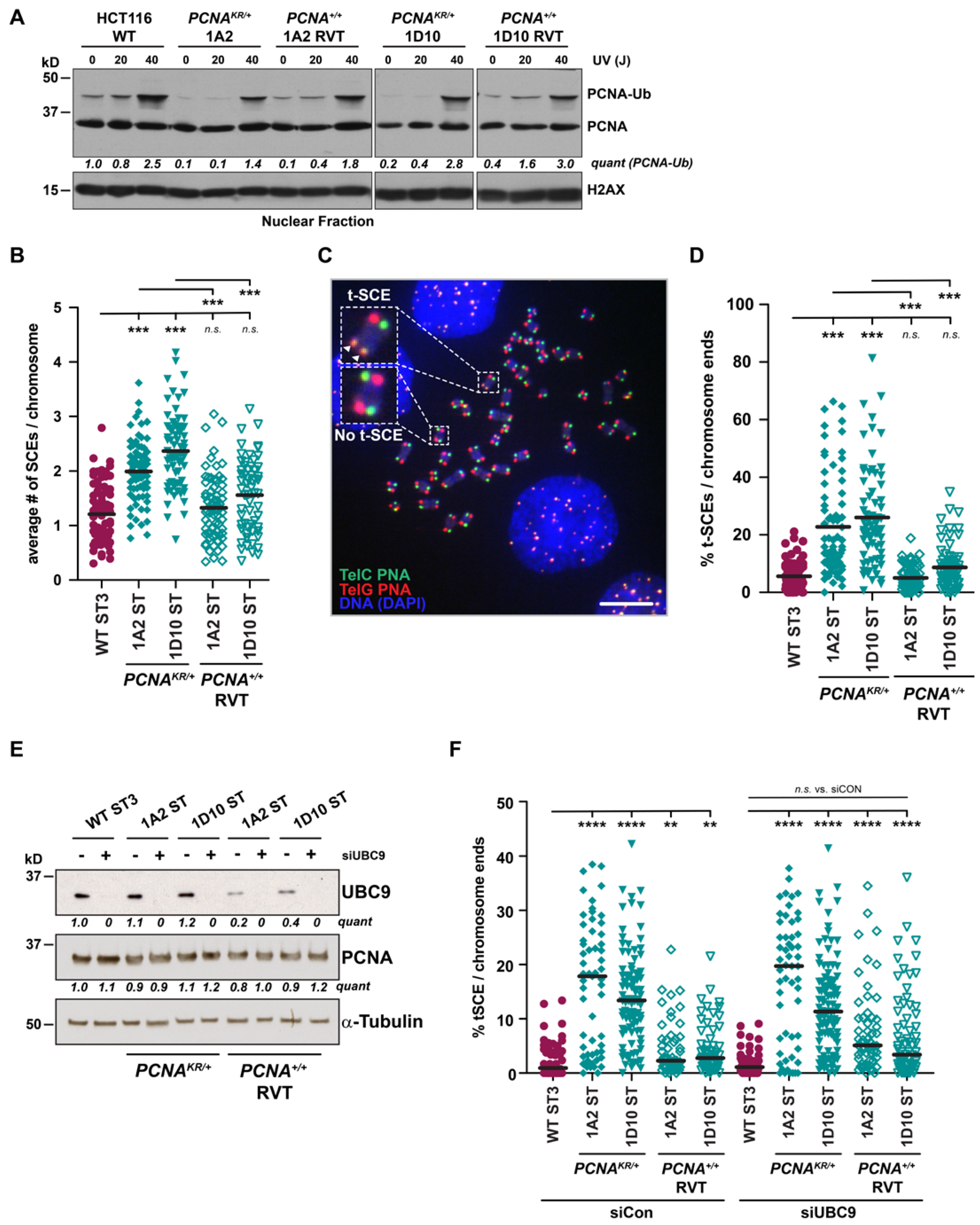 Biomolecules 15 00150 g005 Biomolecules 15 00150 g005