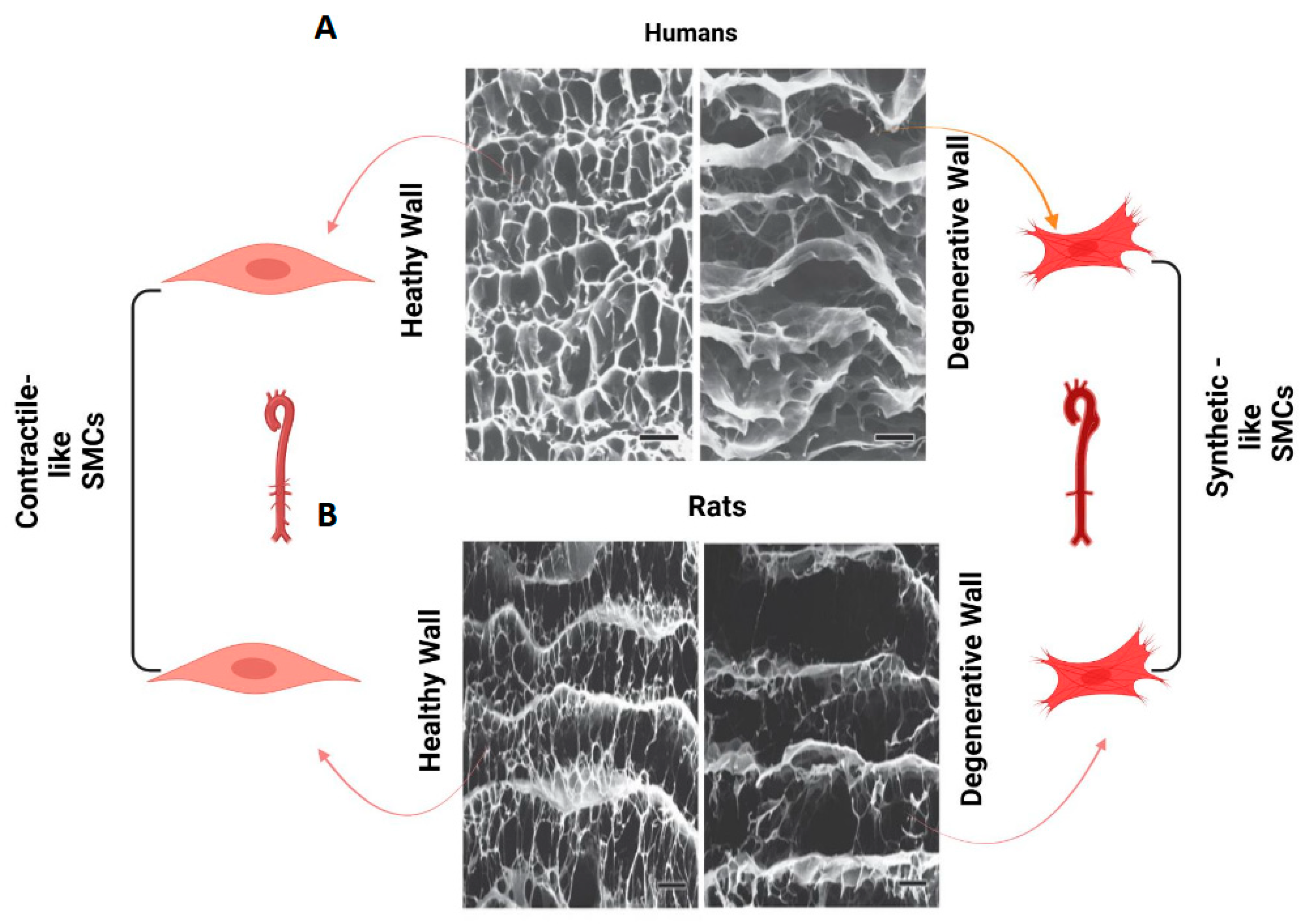 Biomolecules 15 00153 g002