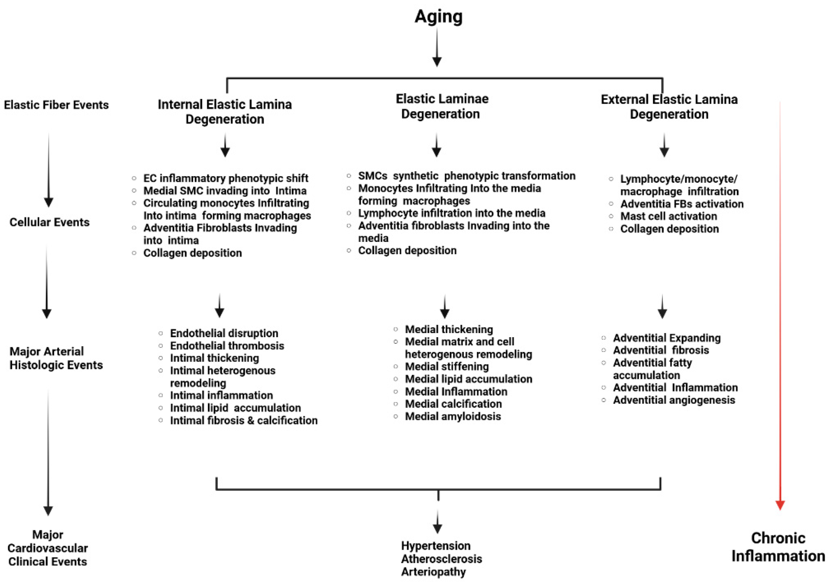 Biomolecules 15 00153 g005