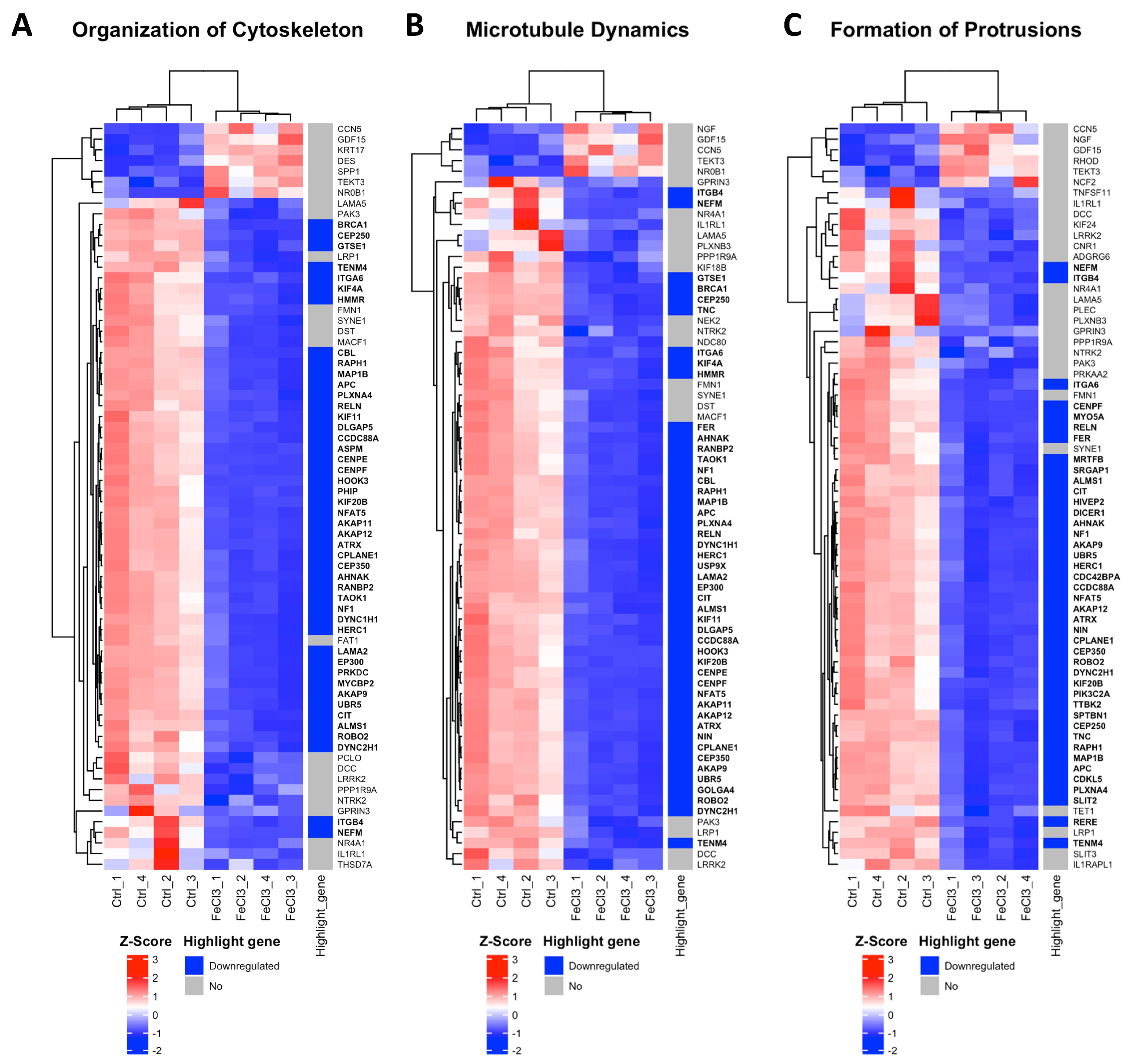 Biomolecules 15 00164 g004