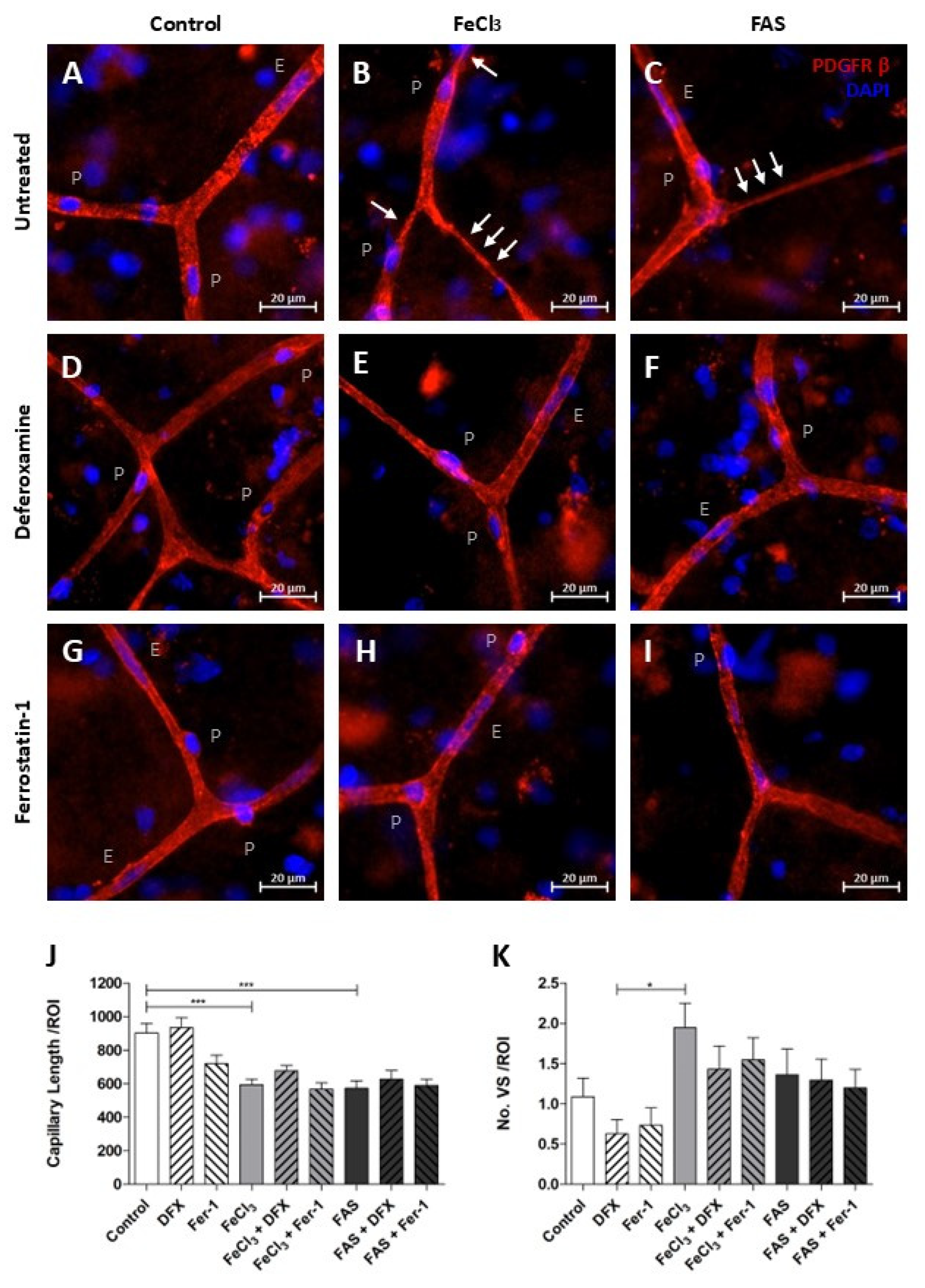 Biomolecules 15 00164 g007