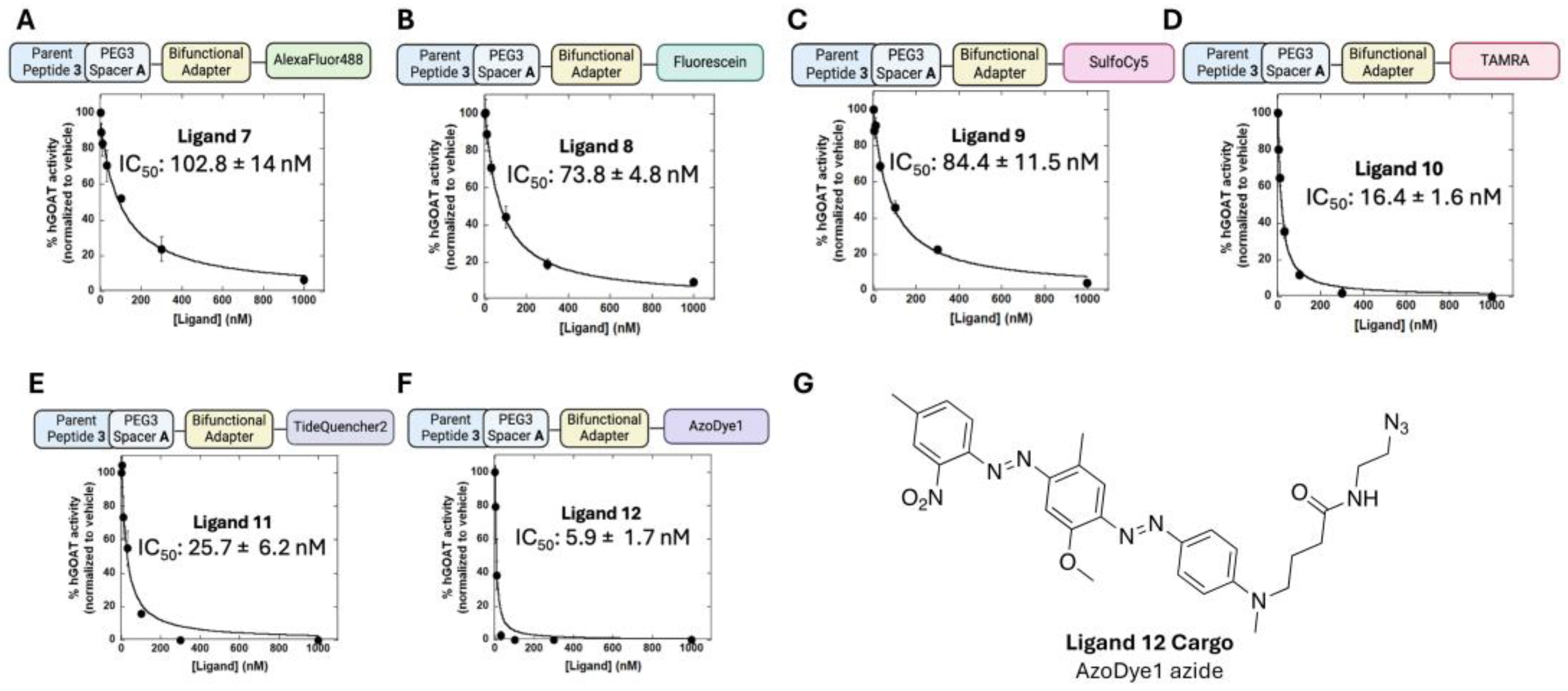 Biomolecules 15 00204 g004