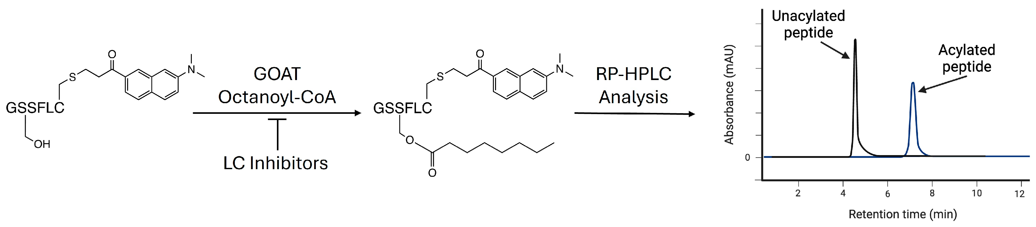 Biomolecules 15 00204 sch001