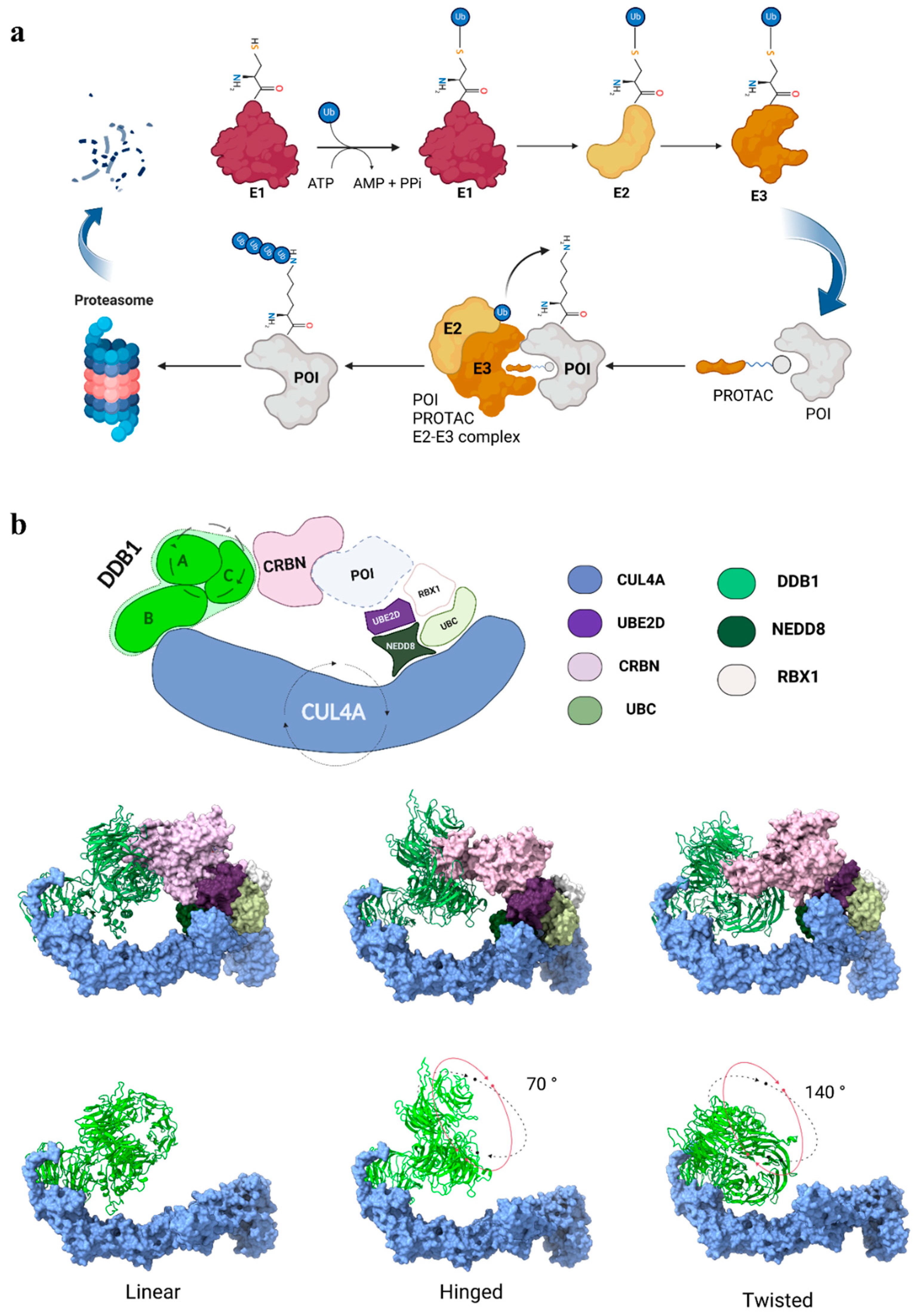 Biomolecules 15 00206 g001 Biomolecules 15 00206 g001