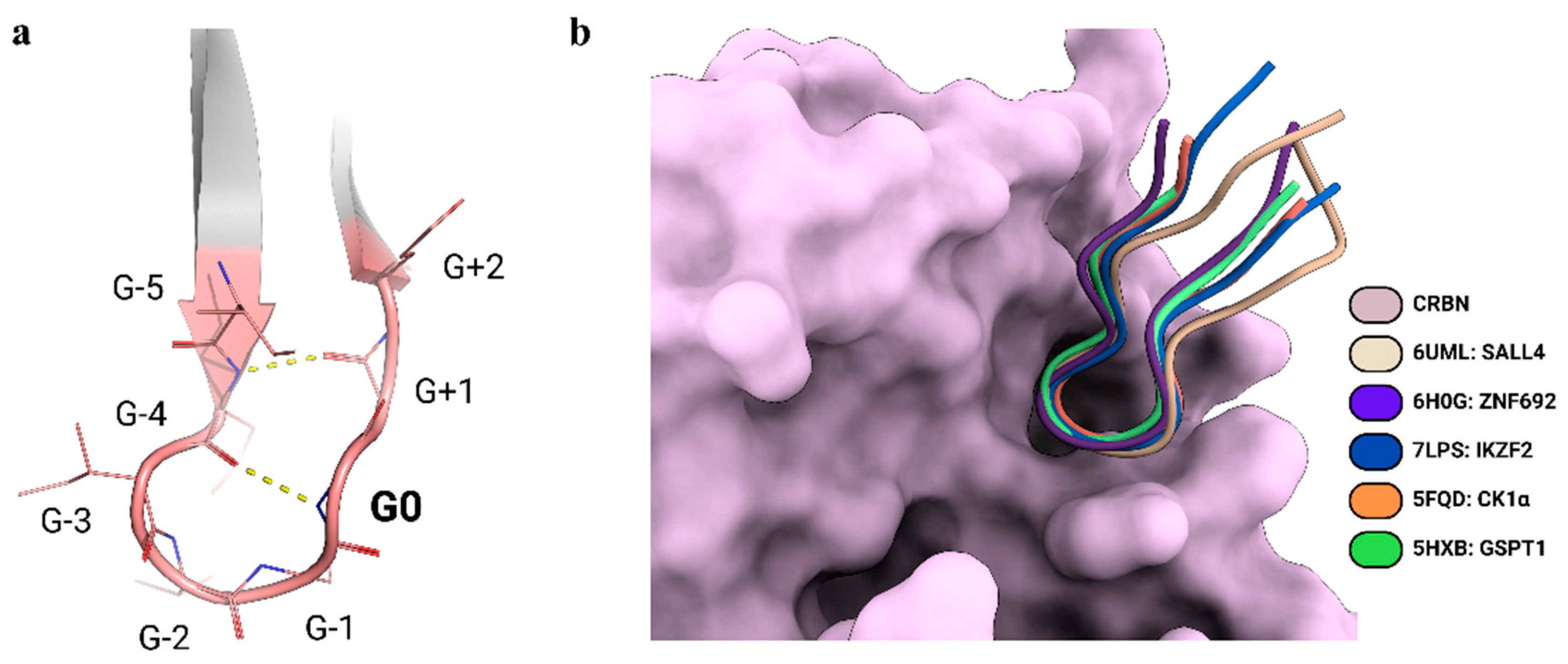 Biomolecules 15 00206 g002 Biomolecules 15 00206 g002