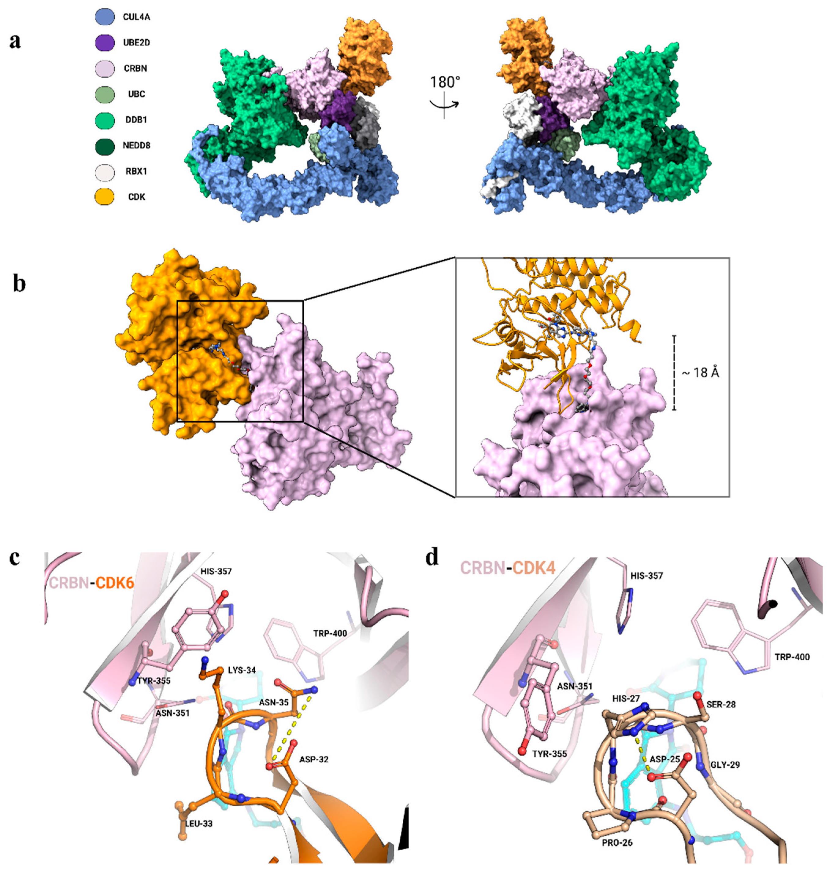 Biomolecules 15 00206 g003 Biomolecules 15 00206 g003