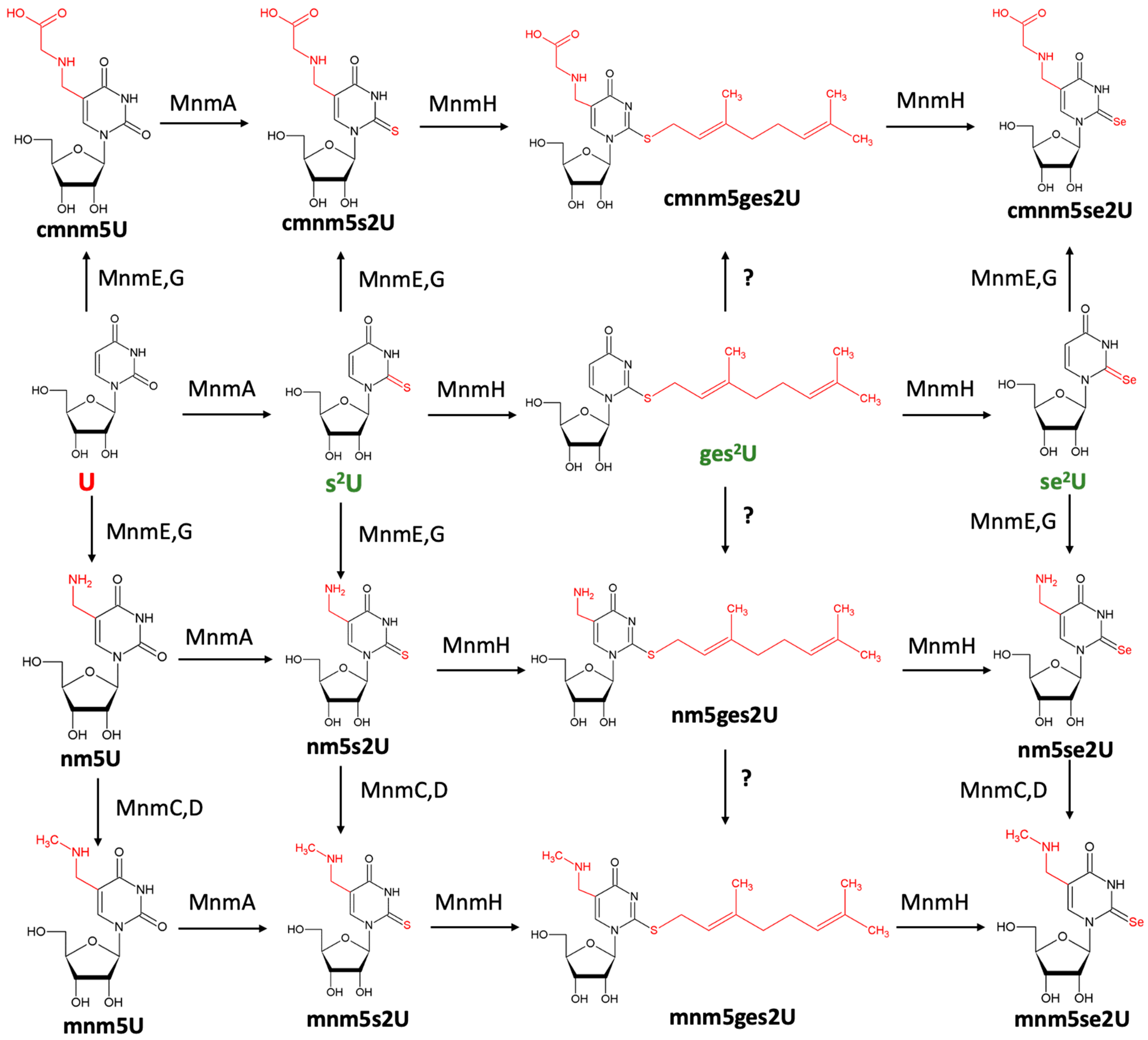 Biomolecules 15 00218 g003 Biomolecules 15 00218 g003
