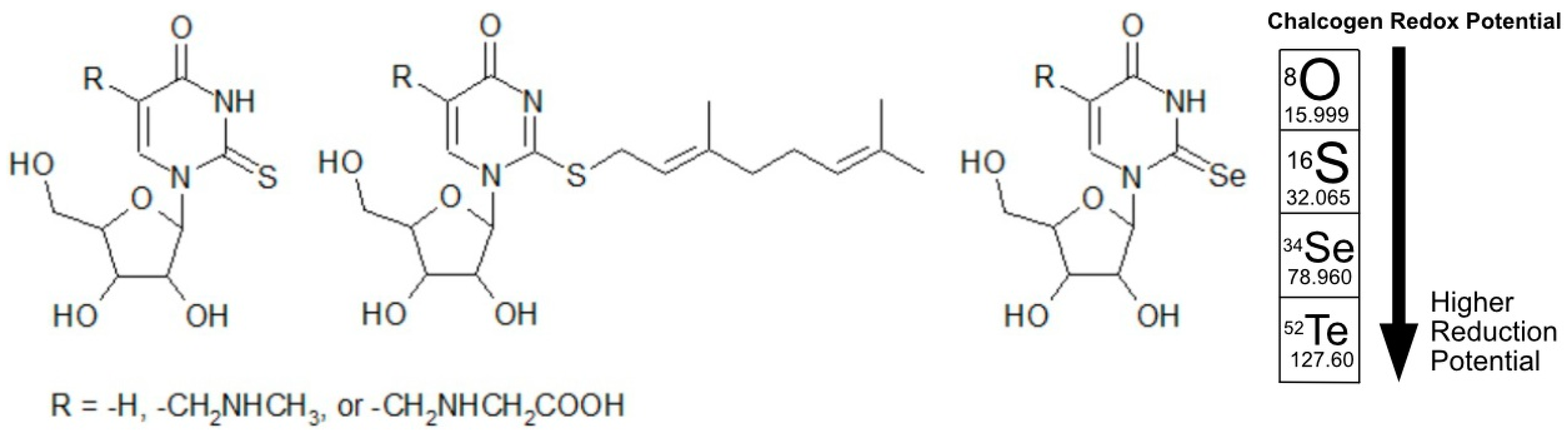 Biomolecules 15 00218 g004 Biomolecules 15 00218 g004