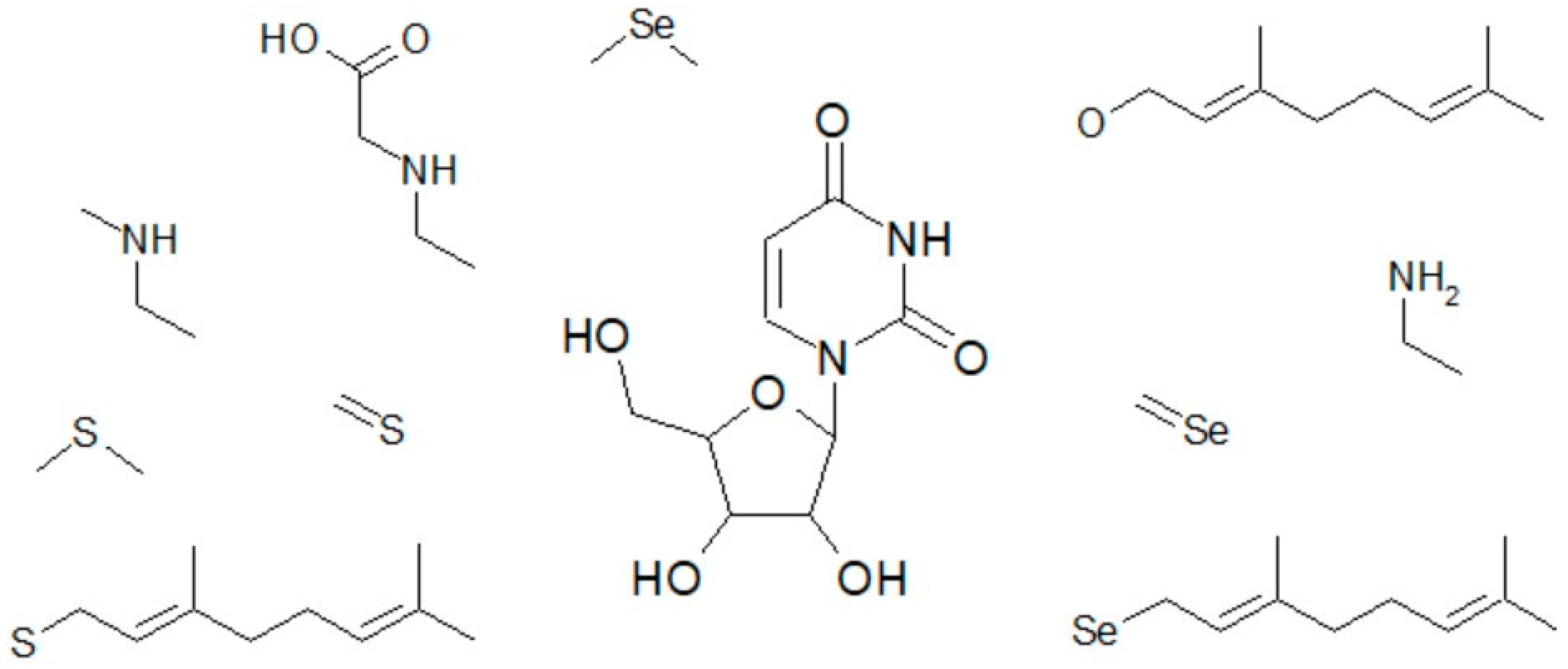 Biomolecules 15 00218 g005 Biomolecules 15 00218 g005